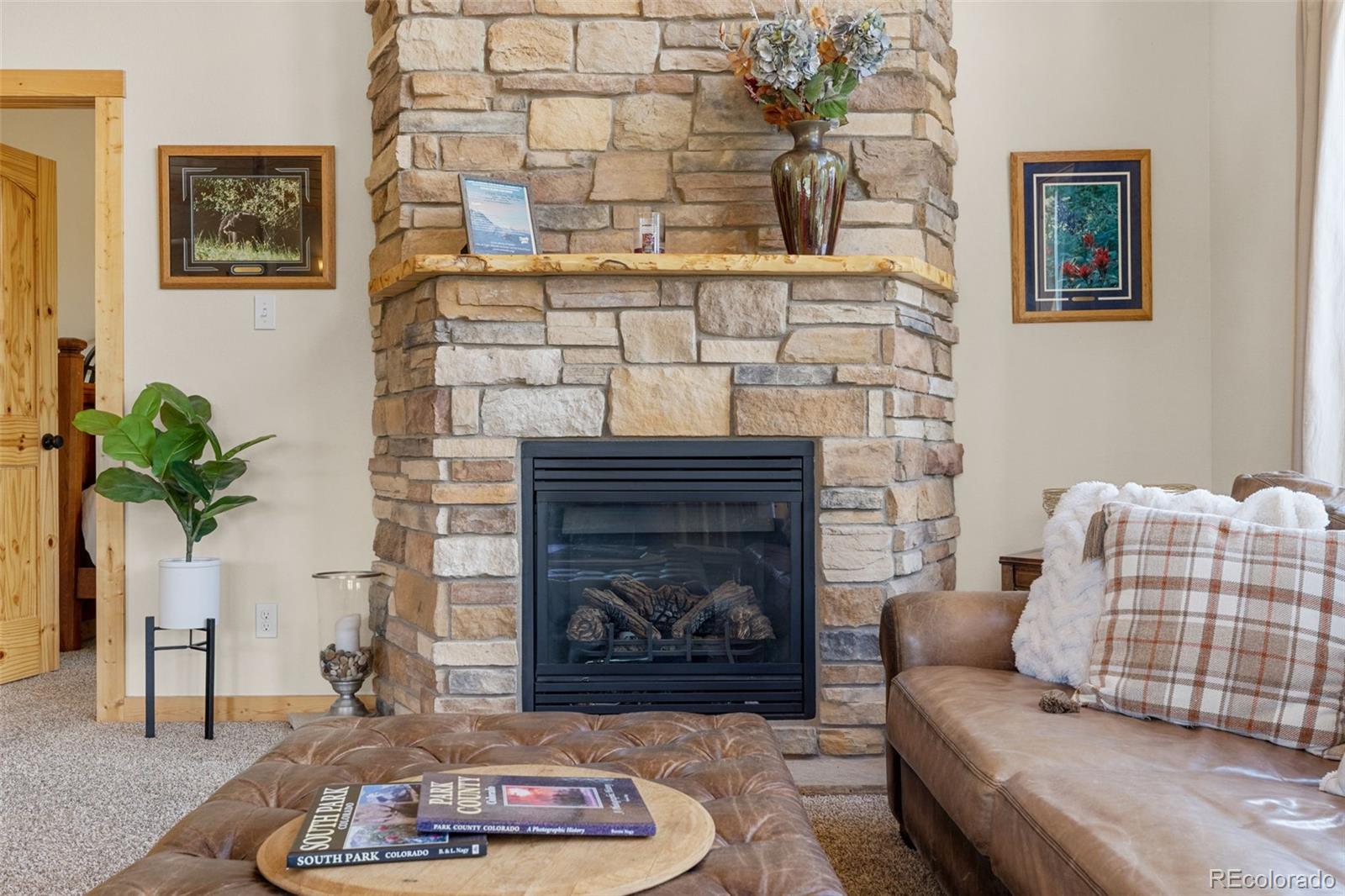 MLS Image #9 for 1729  pinto trail,como, Colorado