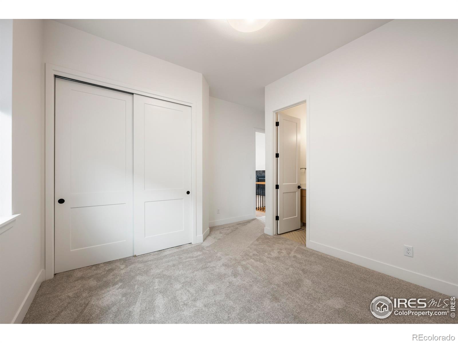 MLS Image #14 for 783  canoe birch drive,windsor, Colorado