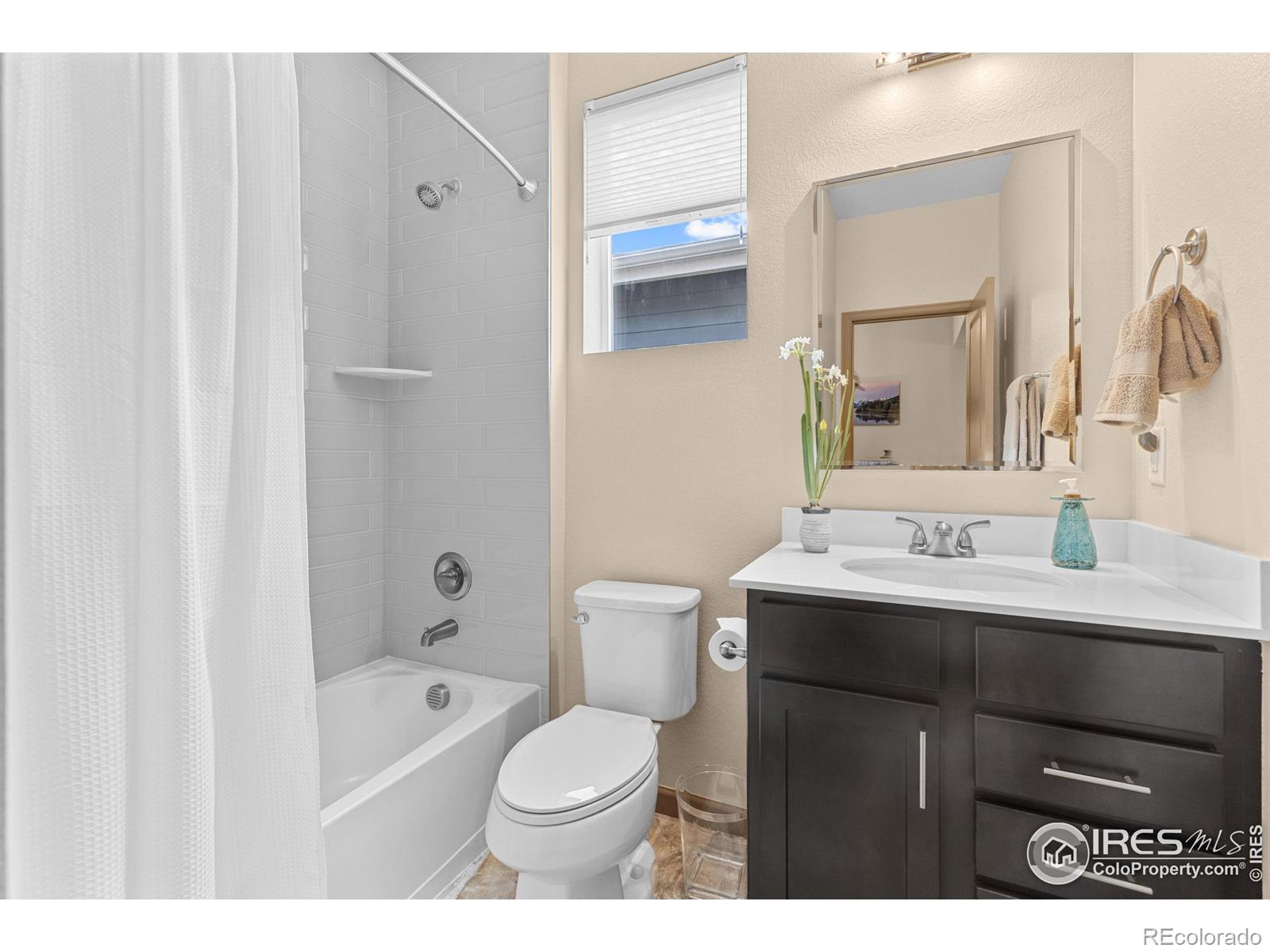 MLS Image #12 for 4859  maxwell avenue,longmont, Colorado