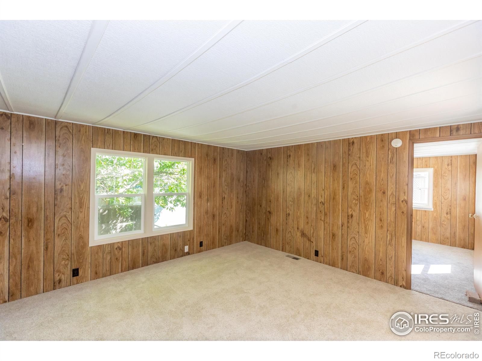 MLS Image #10 for 1143  cynthia court,loveland, Colorado