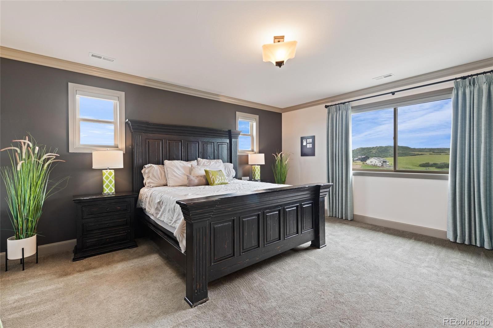 MLS Image #16 for 5623  raintree drive,parker, Colorado