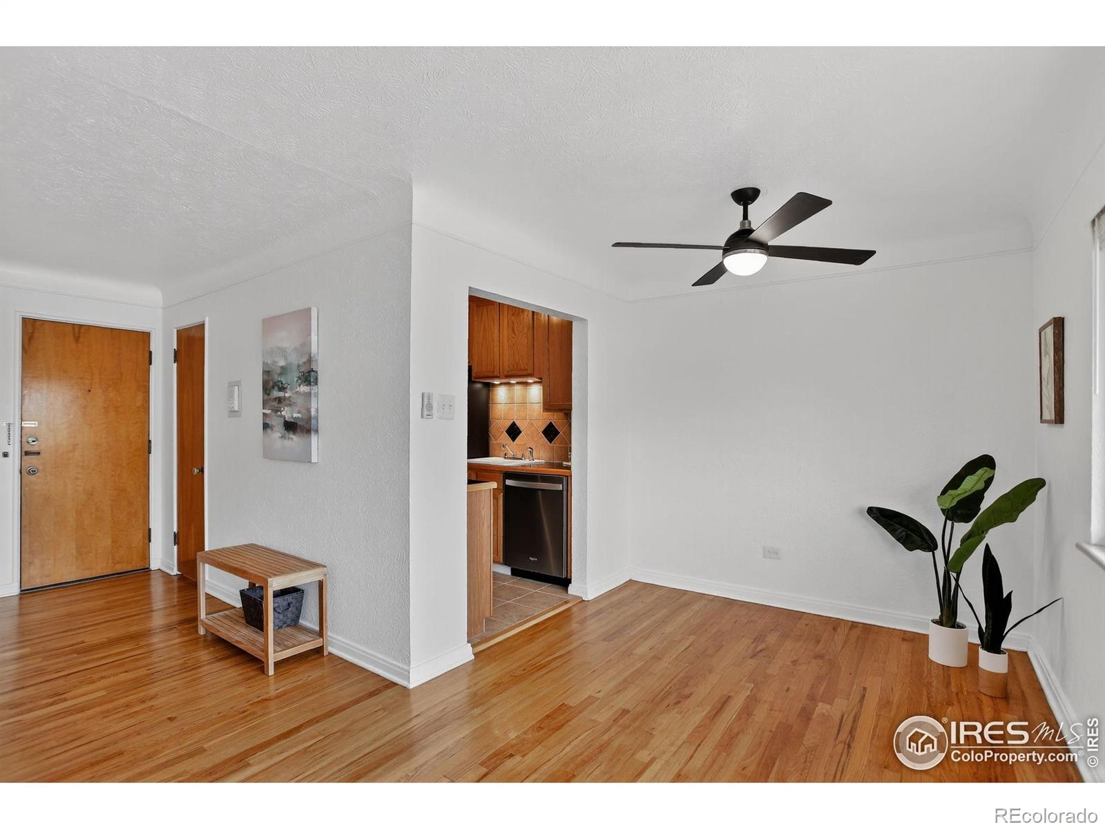 MLS Image #9 for 733 e 2nd avenue,denver, Colorado