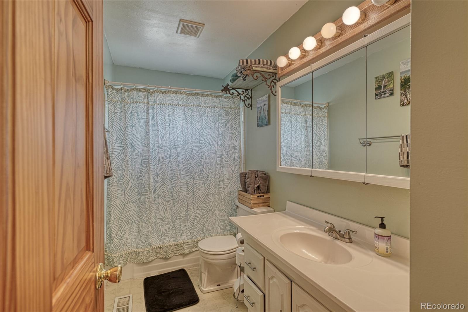 MLS Image #14 for 305  mount princeton drive,leadville, Colorado