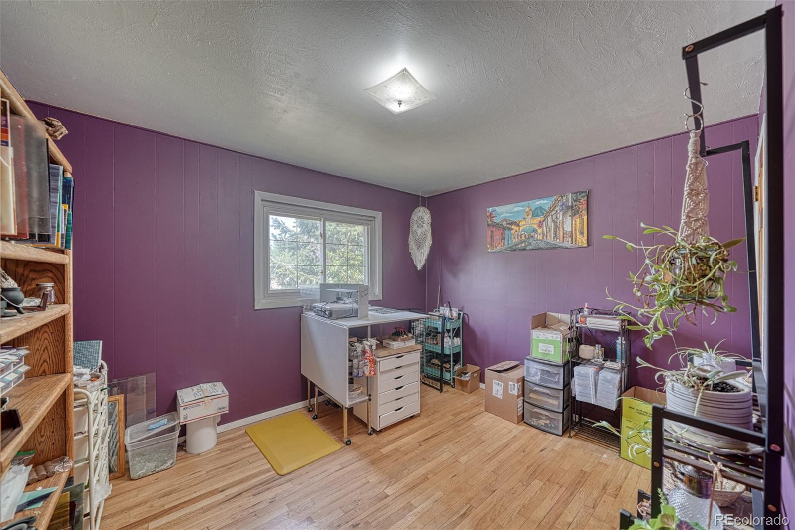 MLS Image #17 for 305  mount princeton drive,leadville, Colorado