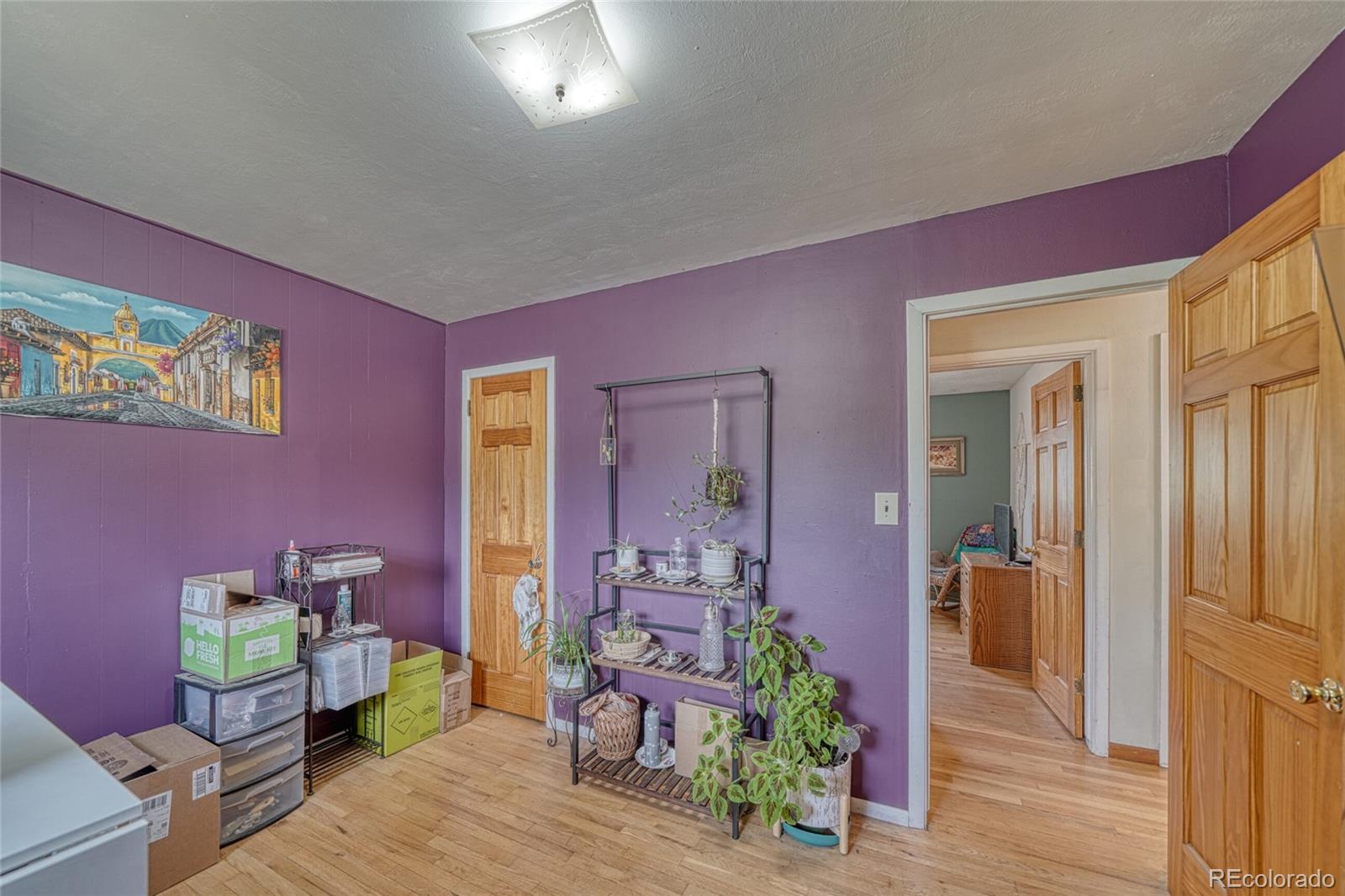 MLS Image #18 for 305  mount princeton drive,leadville, Colorado
