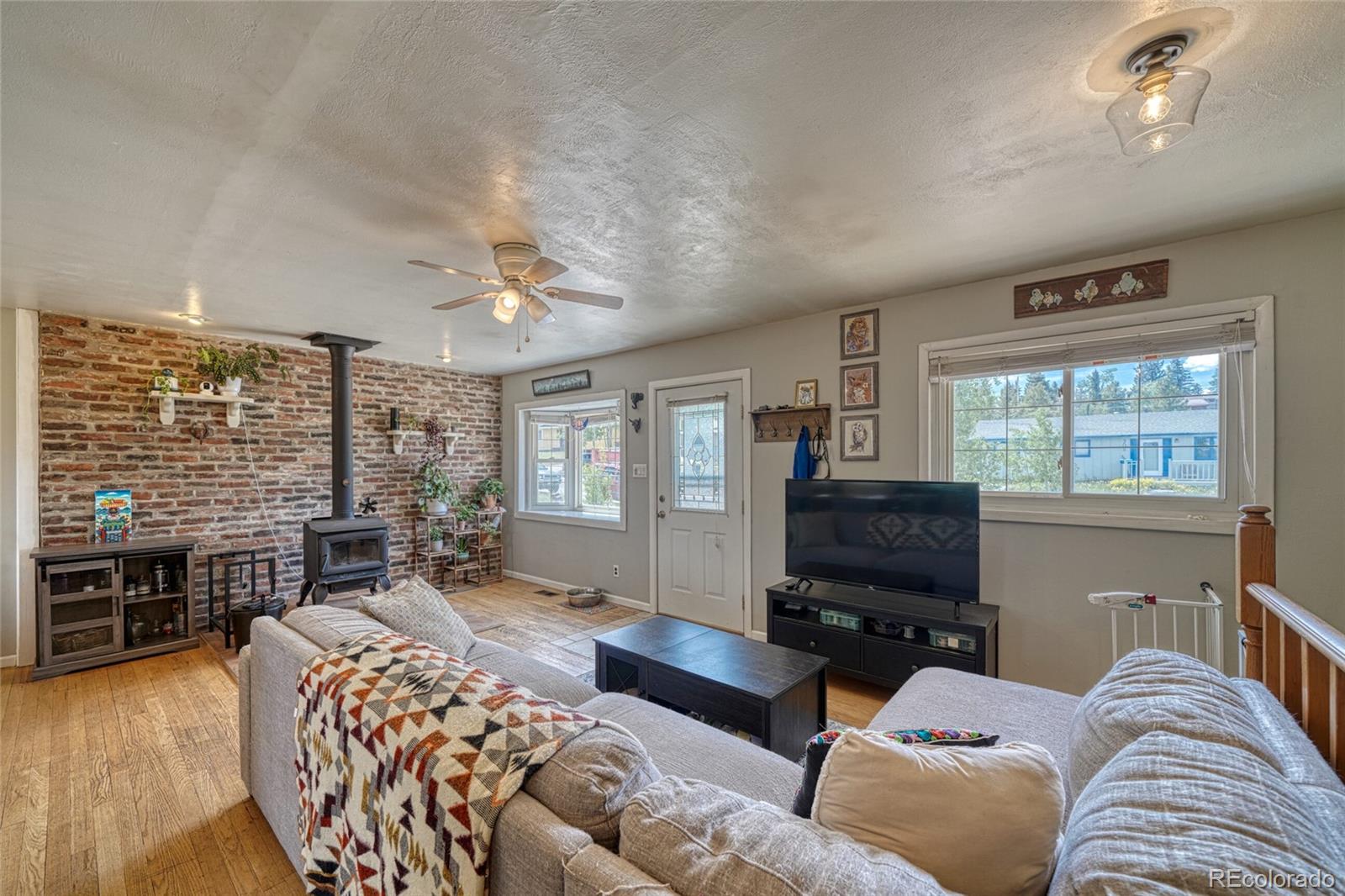 MLS Image #6 for 305  mount princeton drive,leadville, Colorado