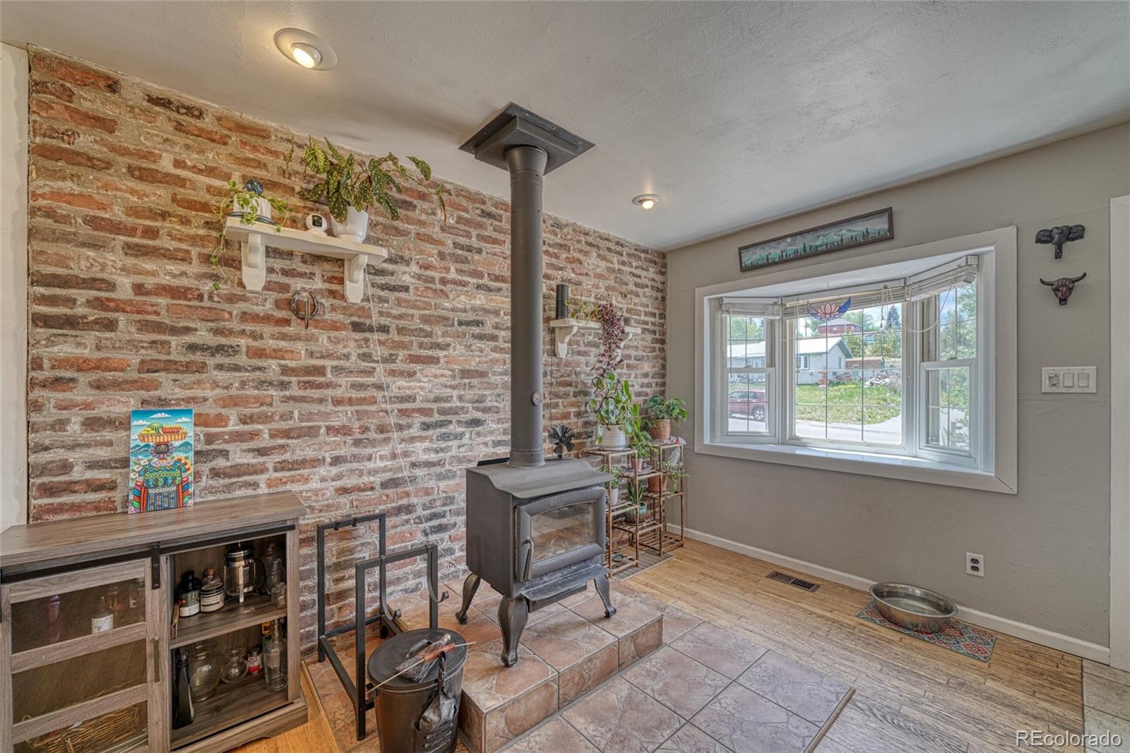MLS Image #8 for 305  mount princeton drive,leadville, Colorado
