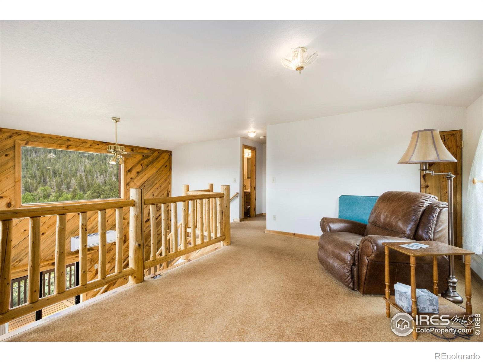 MLS Image #12 for 231  modoc court,red feather lakes, Colorado
