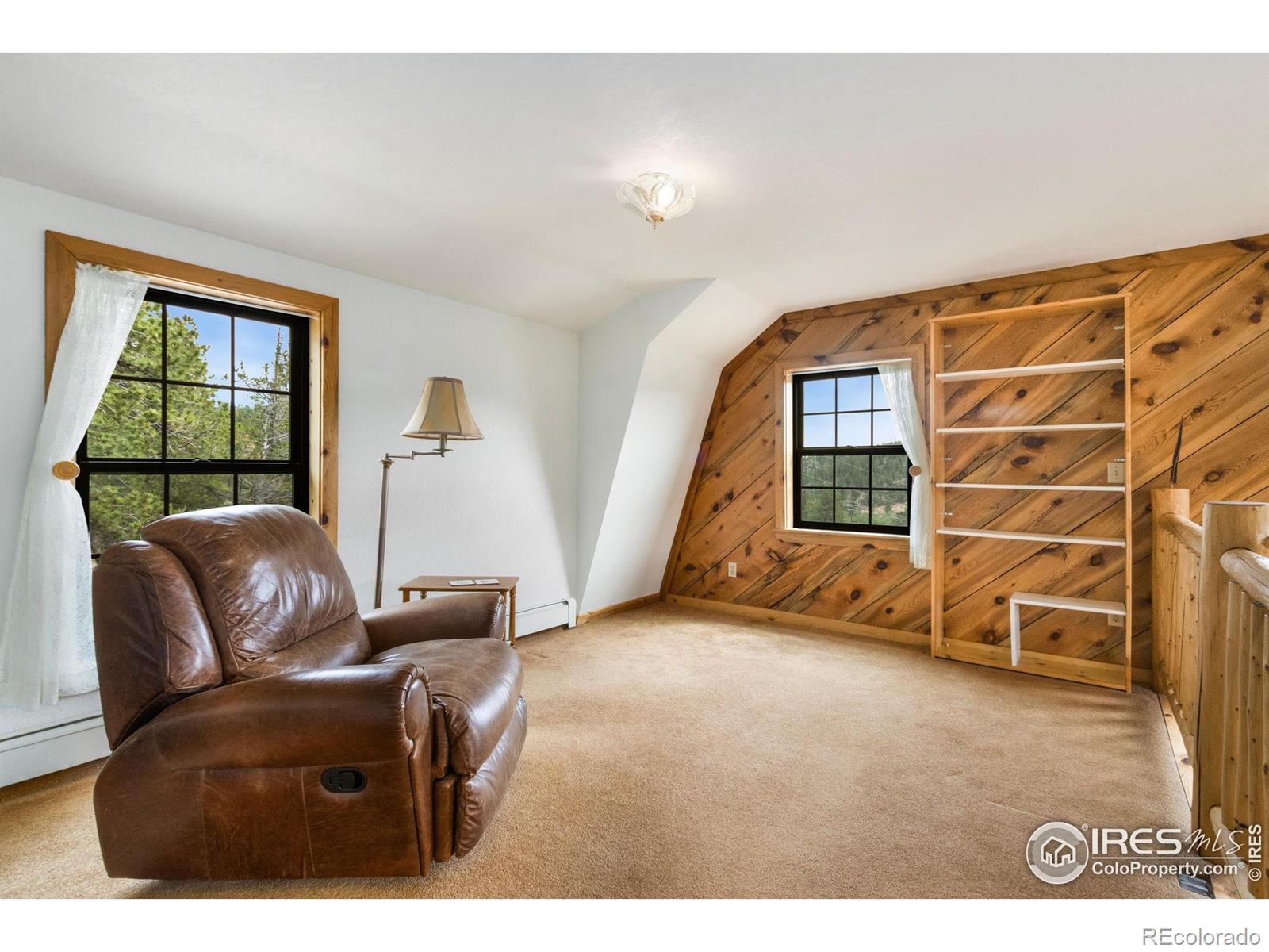 MLS Image #13 for 231  modoc court,red feather lakes, Colorado