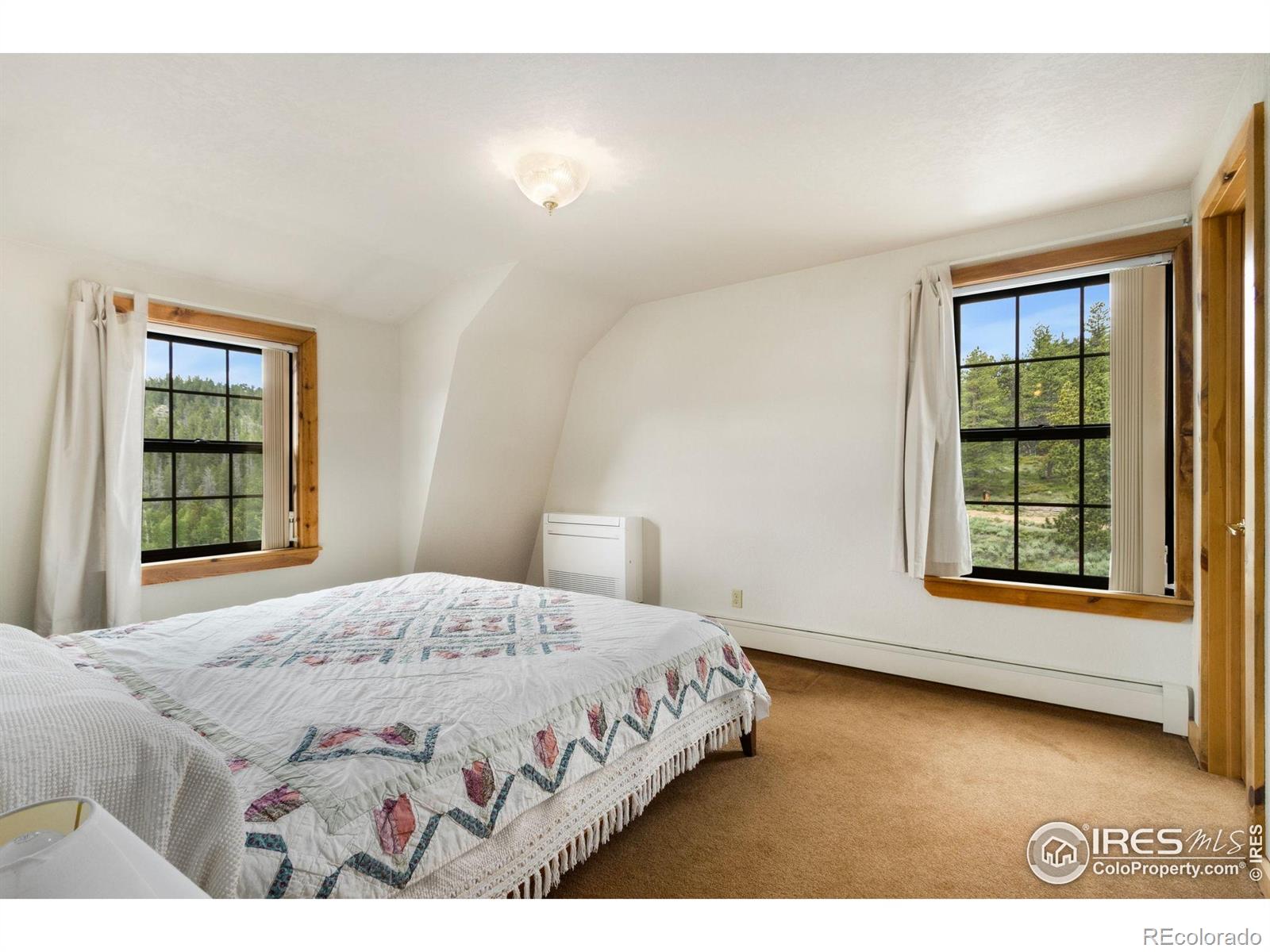 MLS Image #14 for 231  modoc court,red feather lakes, Colorado
