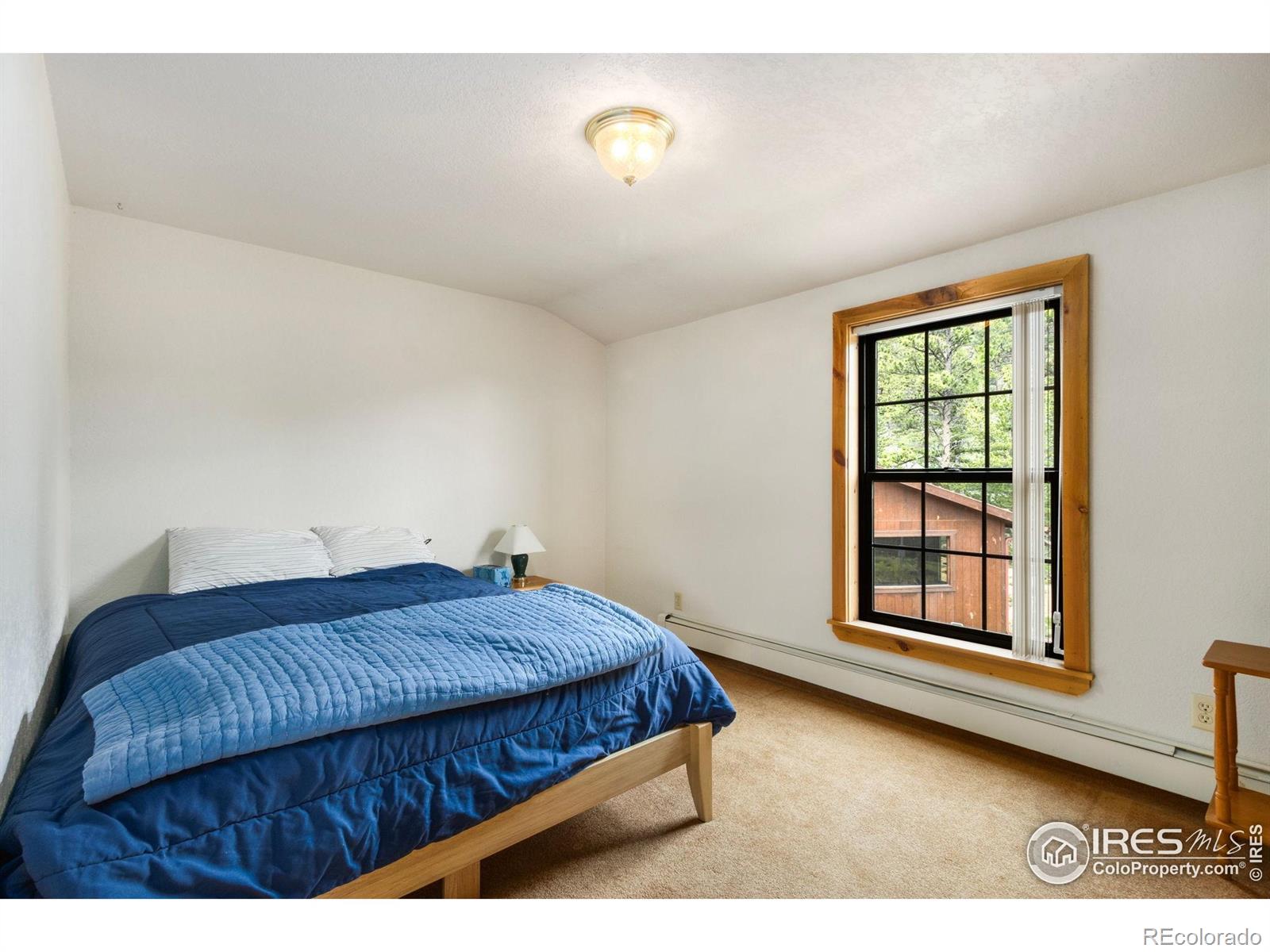 MLS Image #16 for 231  modoc court,red feather lakes, Colorado