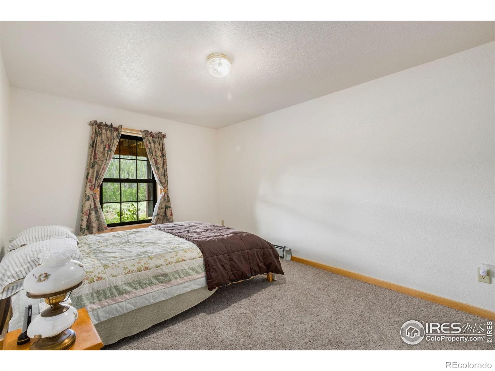 MLS Image #18 for 231  modoc court,red feather lakes, Colorado