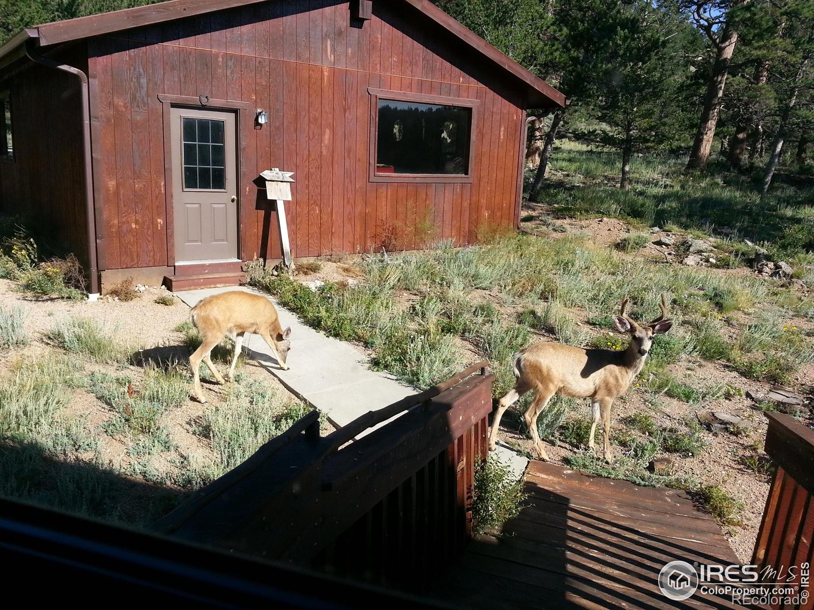 MLS Image #2 for 231  modoc court,red feather lakes, Colorado