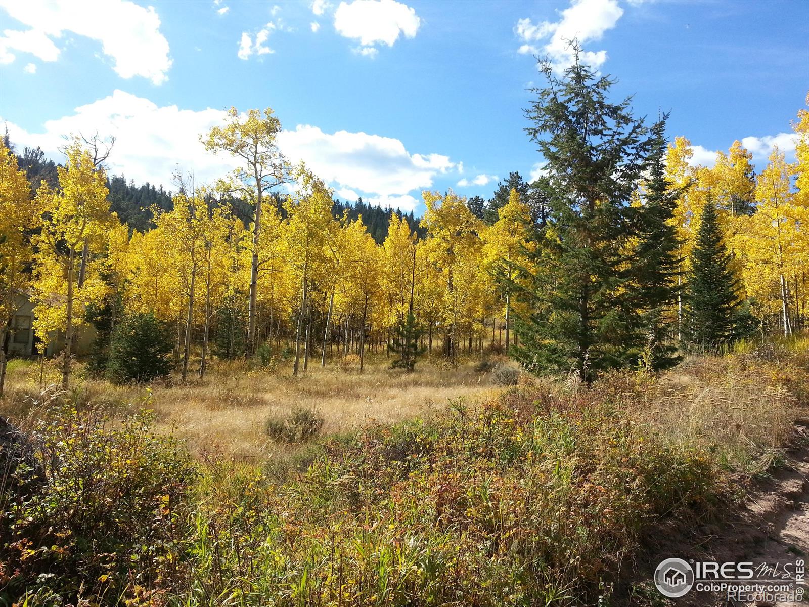 MLS Image #34 for 231  modoc court,red feather lakes, Colorado