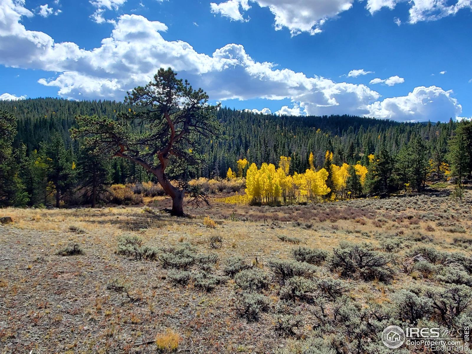 MLS Image #35 for 231  modoc court,red feather lakes, Colorado