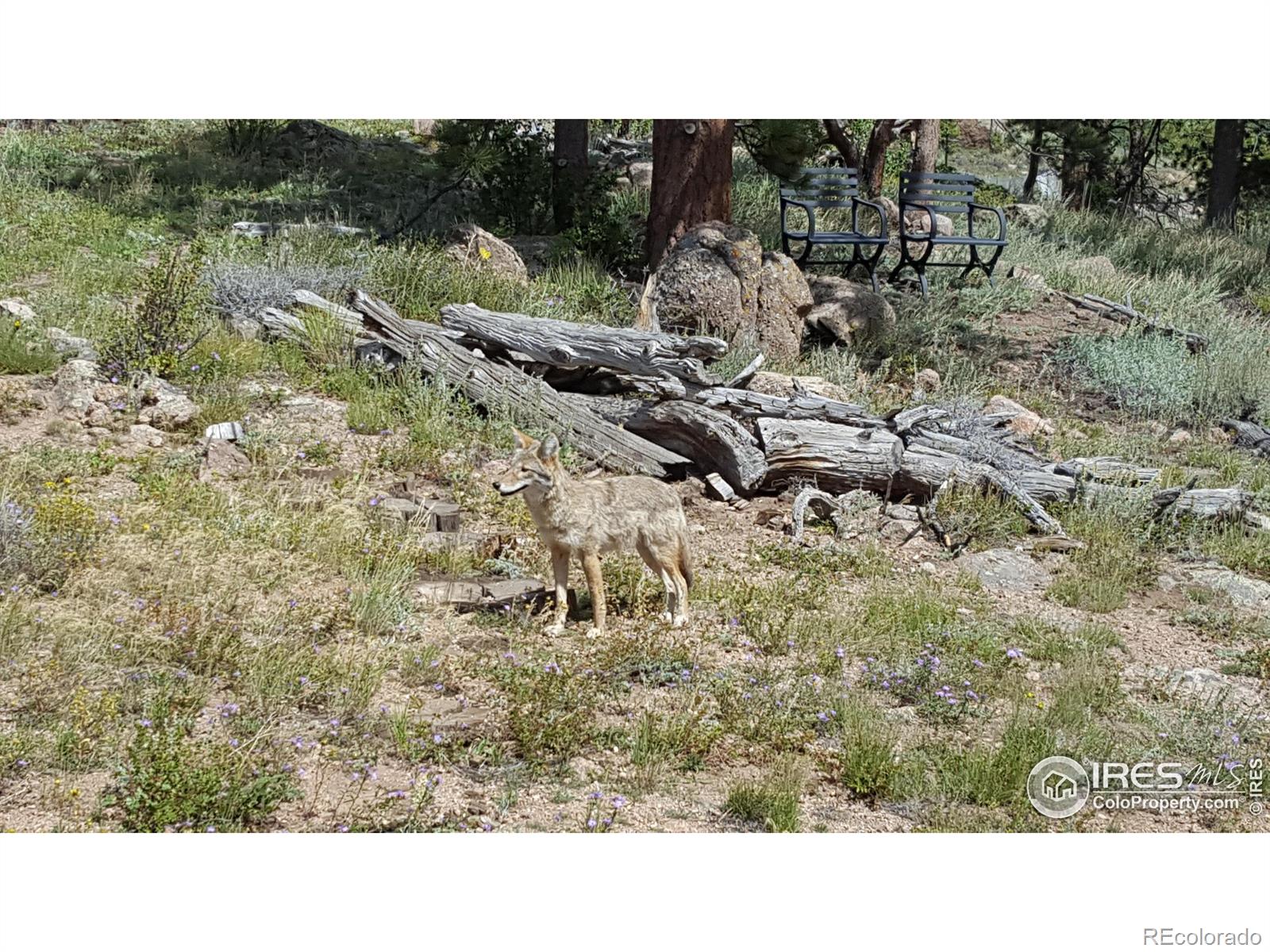 MLS Image #36 for 231  modoc court,red feather lakes, Colorado