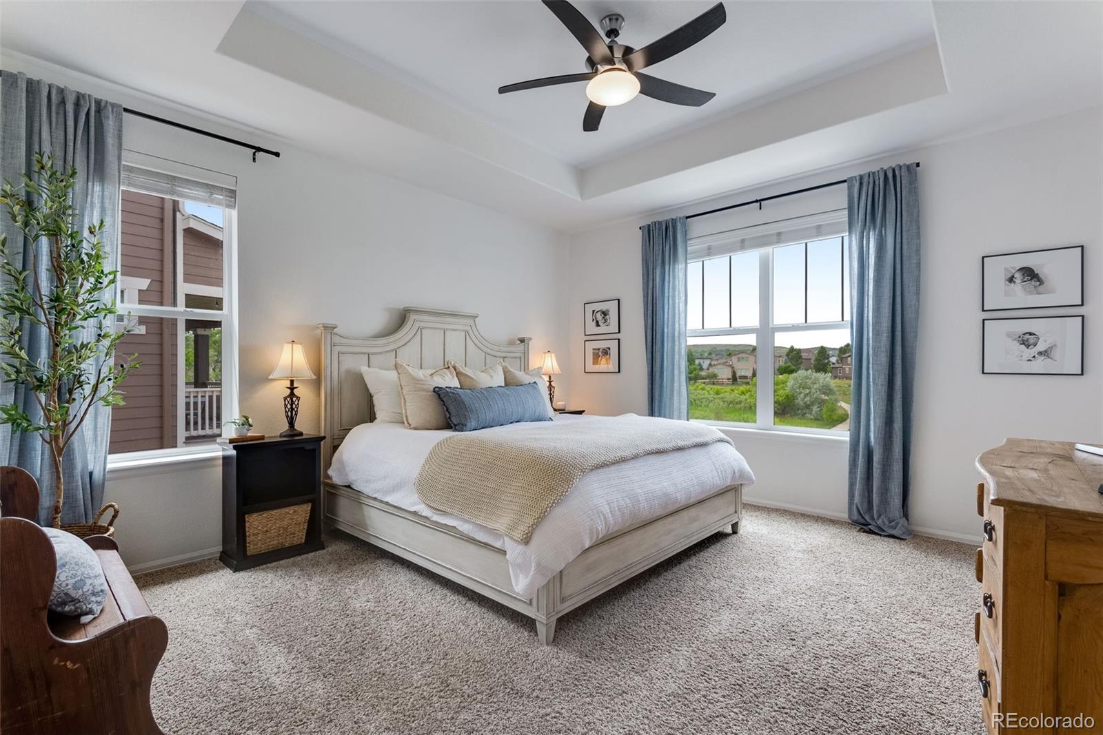 MLS Image #17 for 11817  phoebe street,parker, Colorado
