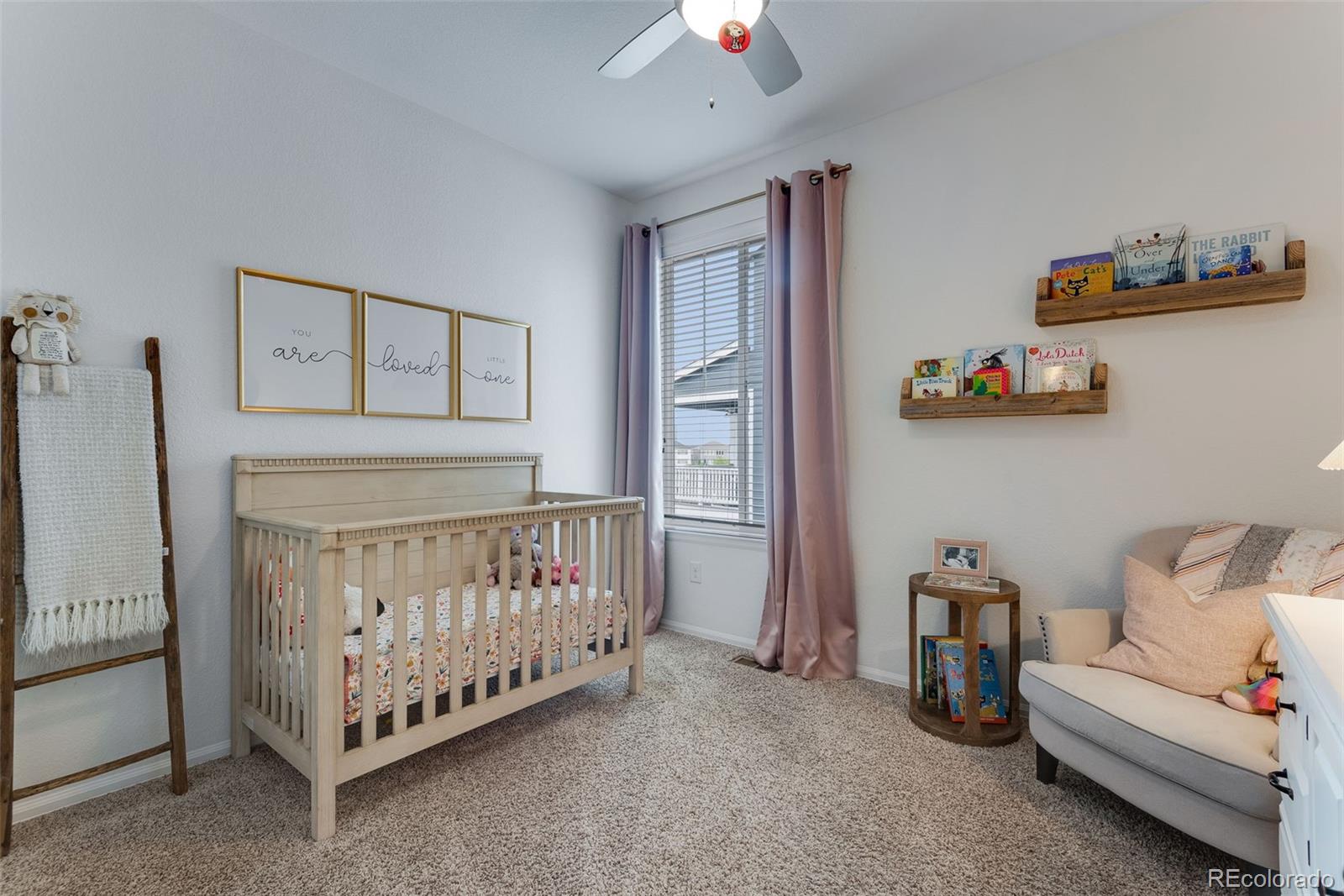 MLS Image #21 for 11817  phoebe street,parker, Colorado