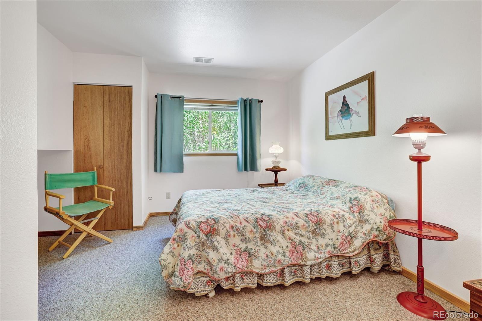 MLS Image #16 for 103  foxtail court,fairplay, Colorado