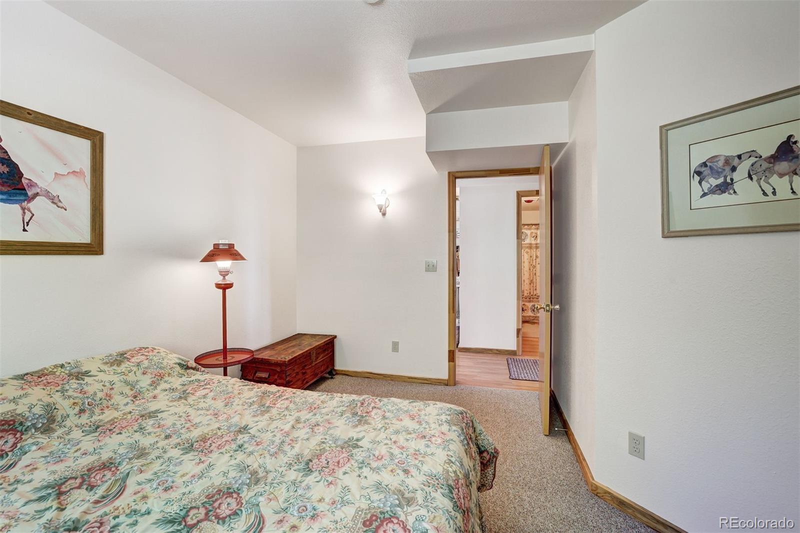MLS Image #17 for 103  foxtail court,fairplay, Colorado