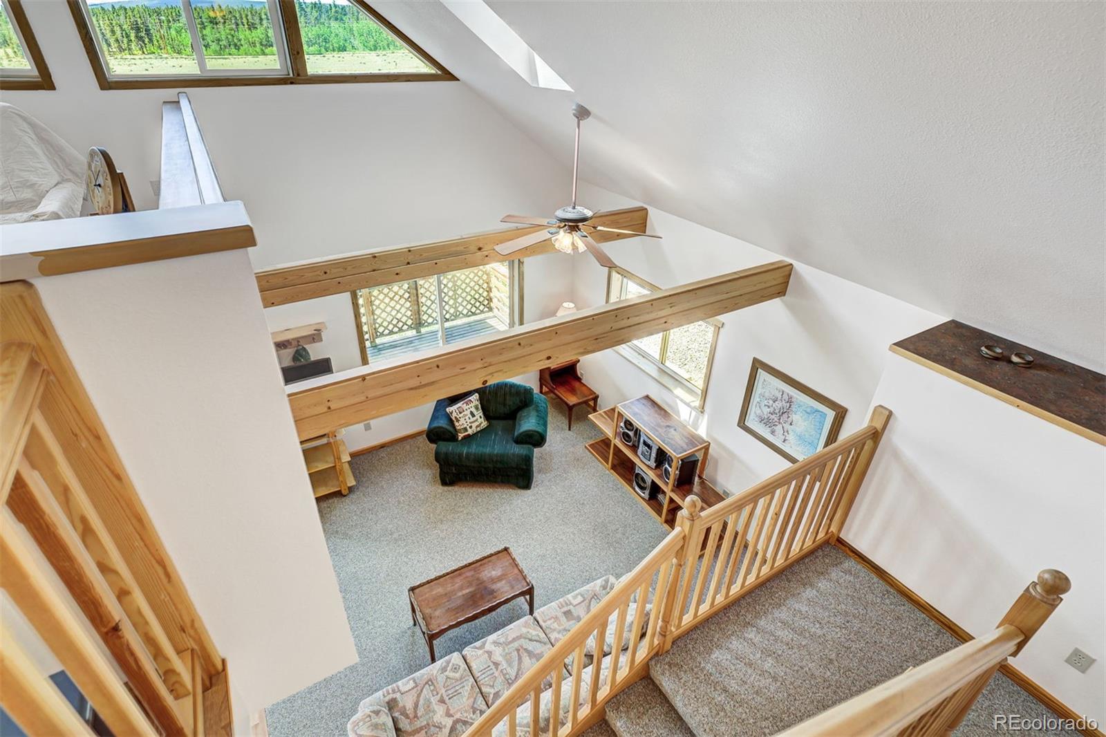 MLS Image #18 for 103  foxtail court,fairplay, Colorado