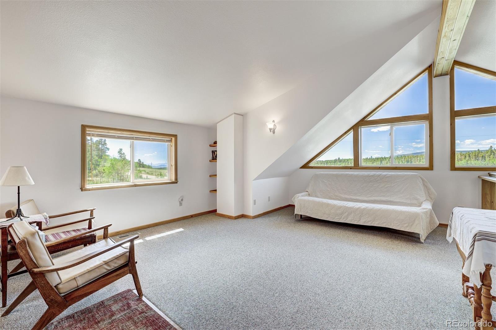 MLS Image #19 for 103  foxtail court,fairplay, Colorado