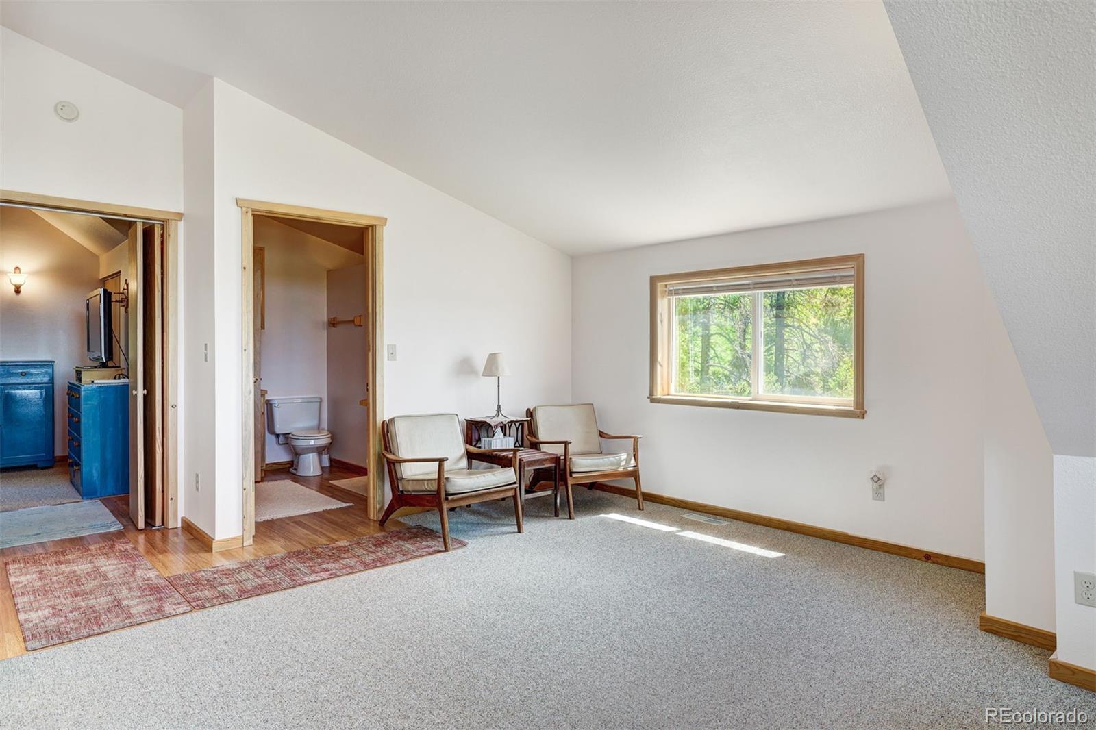 MLS Image #20 for 103  foxtail court,fairplay, Colorado
