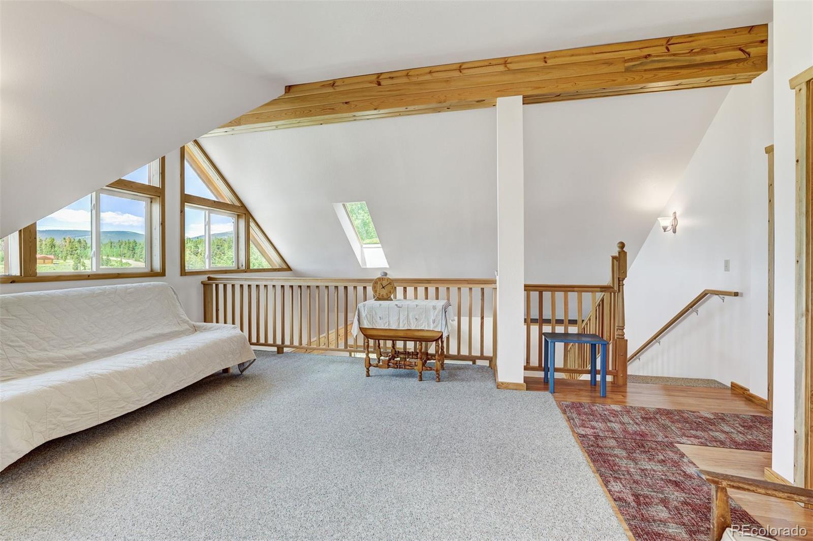 MLS Image #21 for 103  foxtail court,fairplay, Colorado