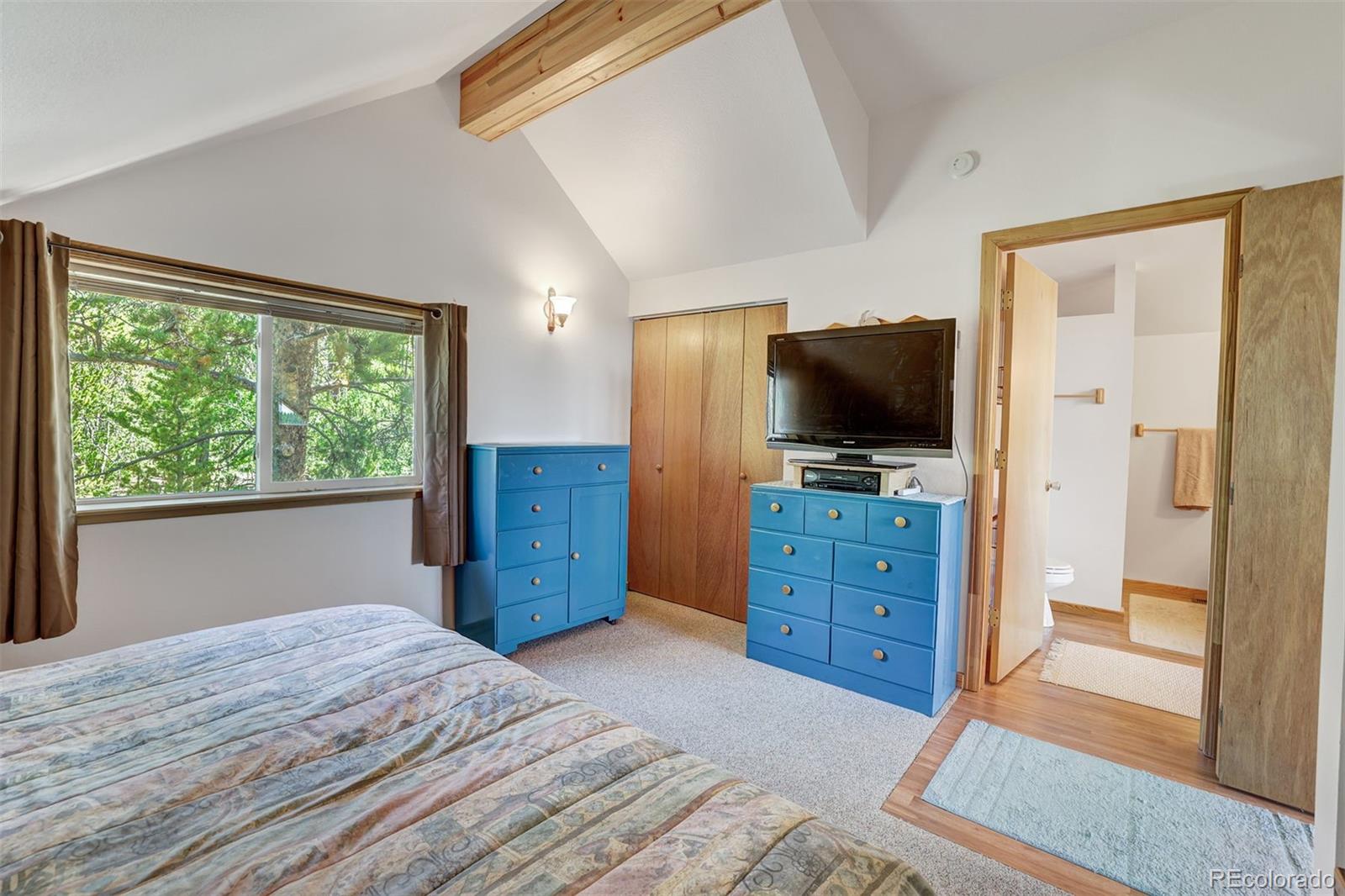 MLS Image #23 for 103  foxtail court,fairplay, Colorado