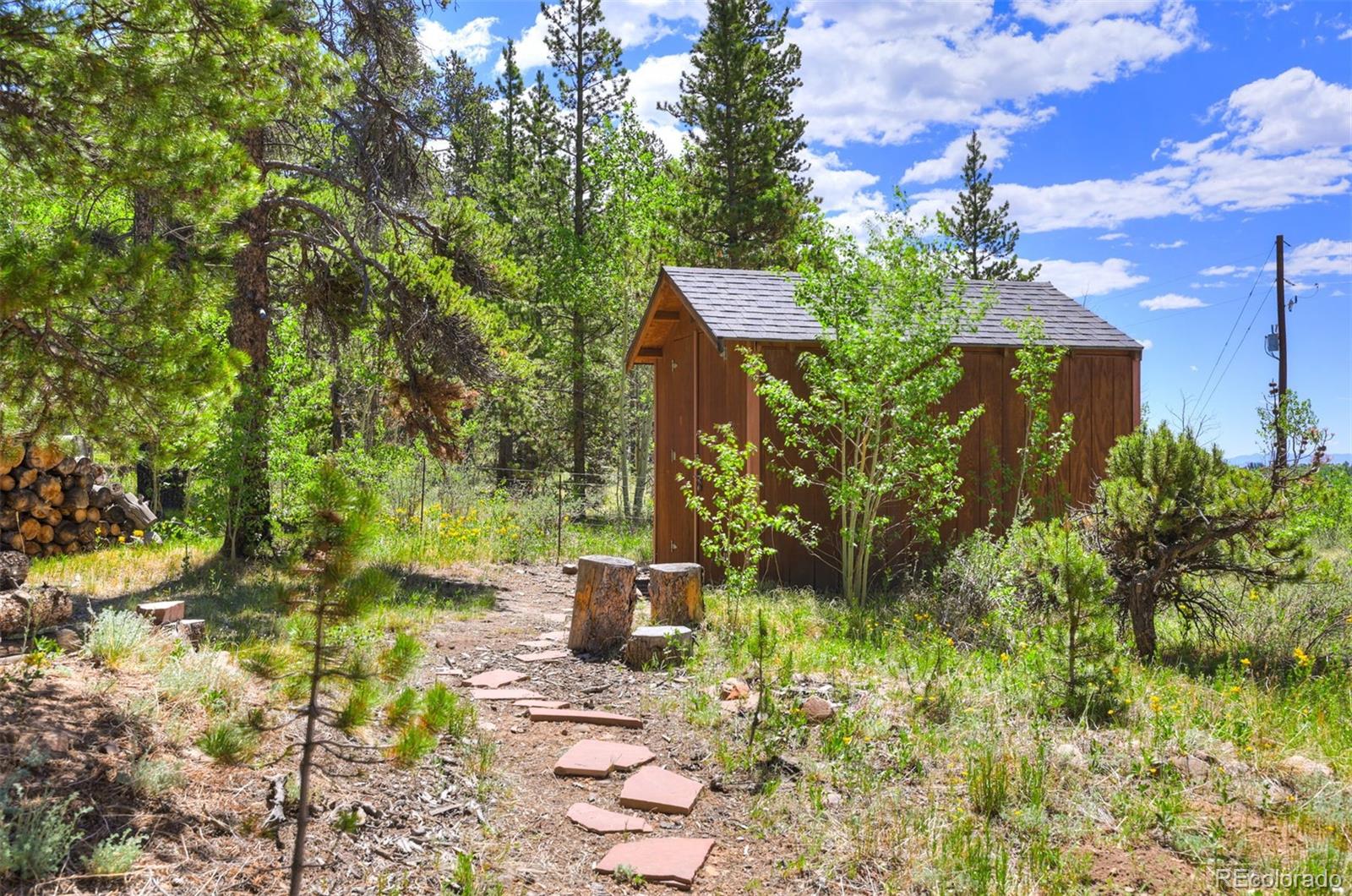 MLS Image #31 for 103  foxtail court,fairplay, Colorado