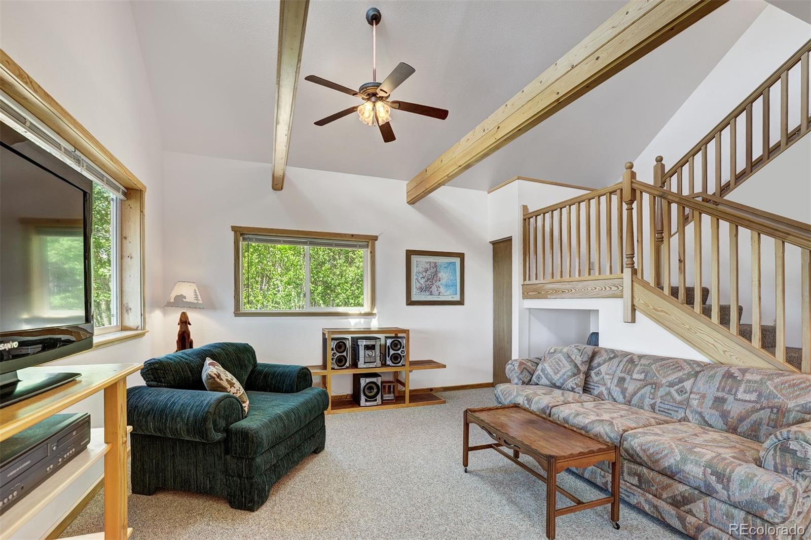 MLS Image #6 for 103  foxtail court,fairplay, Colorado
