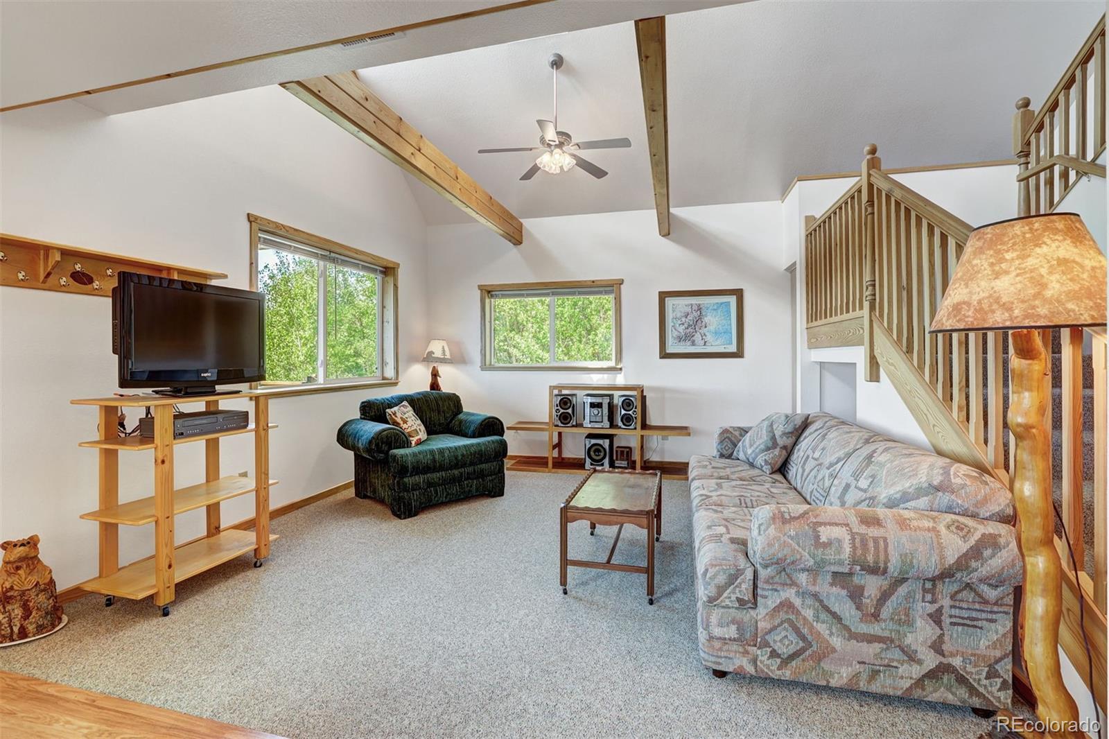 MLS Image #7 for 103  foxtail court,fairplay, Colorado