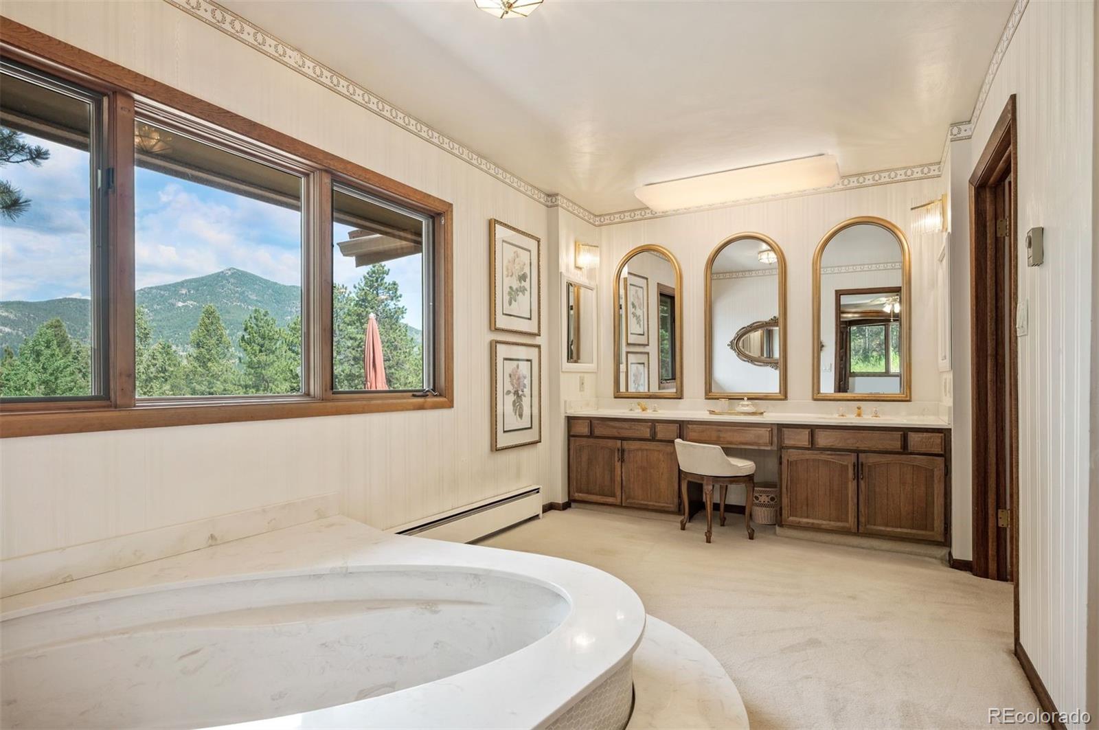 MLS Image #19 for 260  whiskey jay hill road,evergreen, Colorado