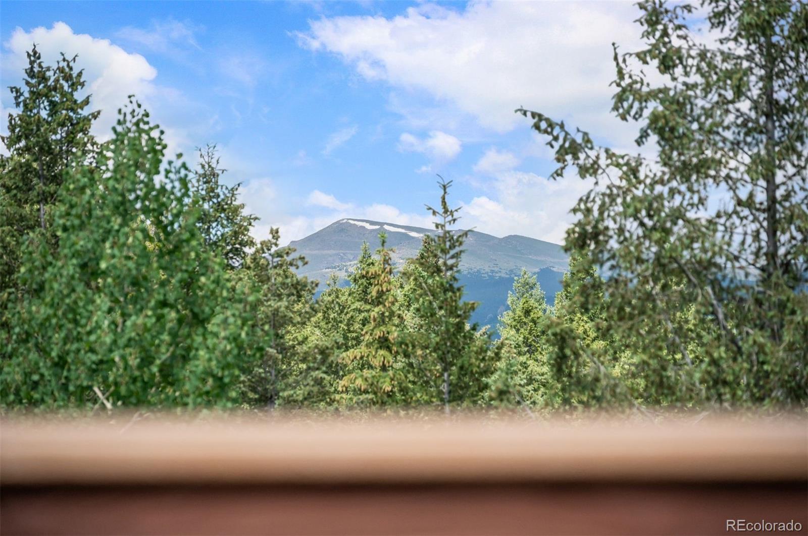 MLS Image #28 for 260  whiskey jay hill road,evergreen, Colorado