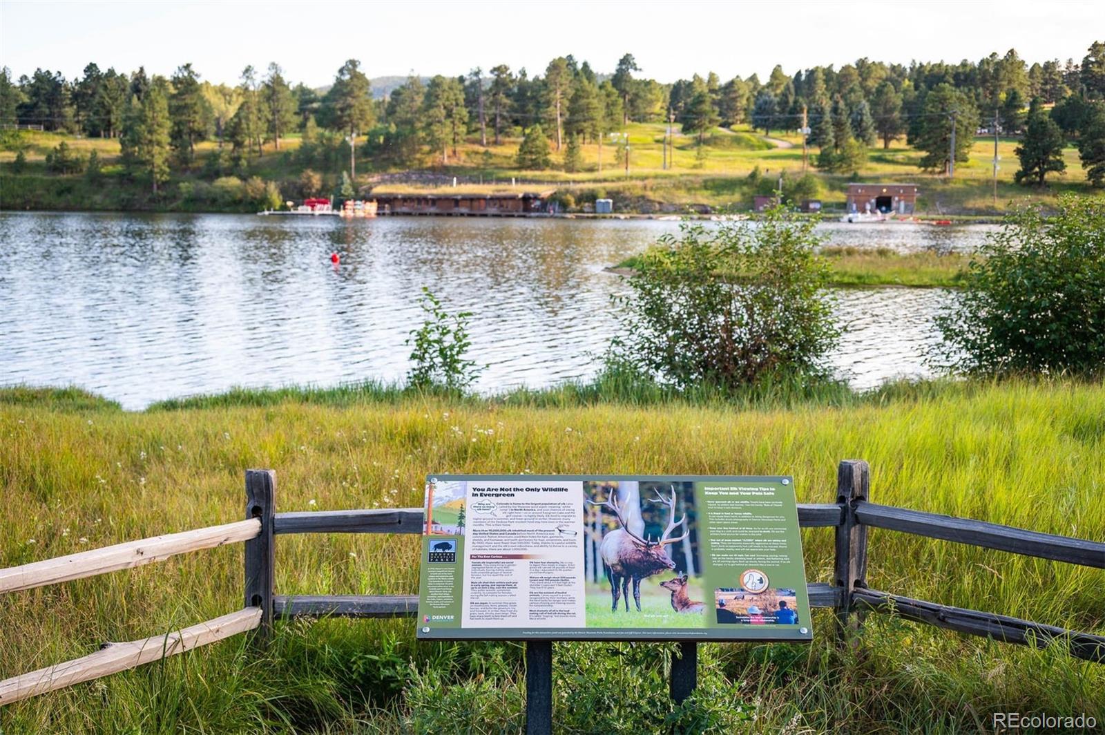 MLS Image #39 for 260  whiskey jay hill road,evergreen, Colorado