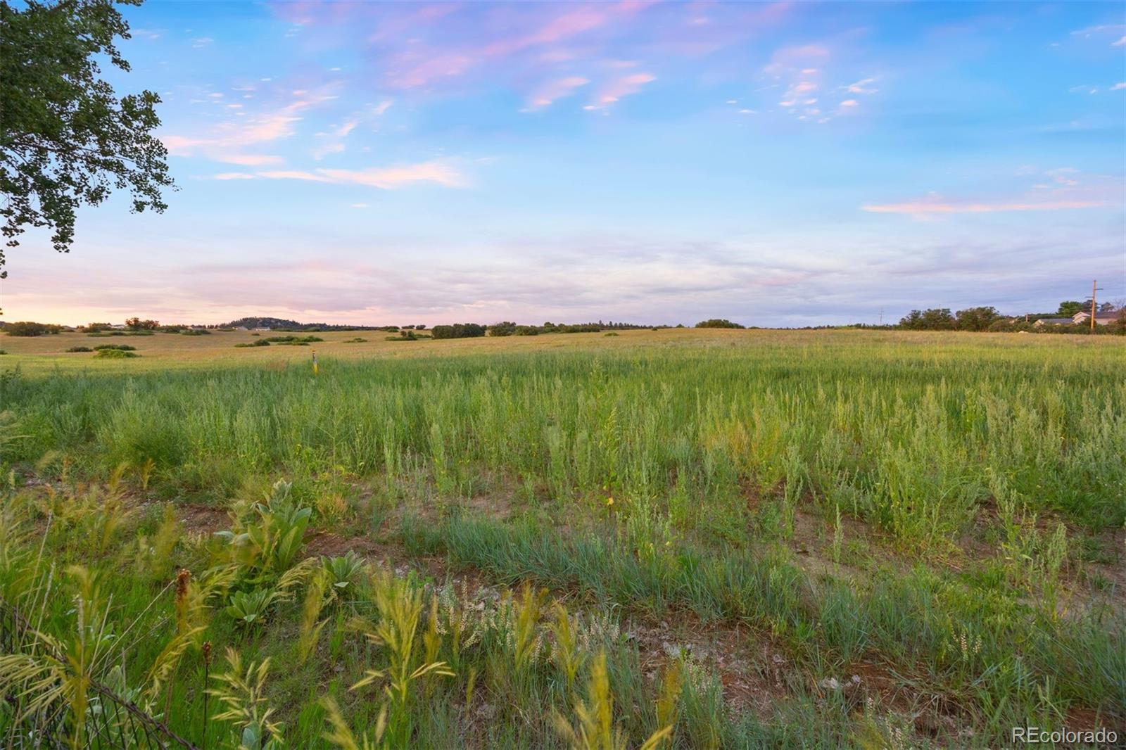 MLS Image #11 for 777  whispering oak drive,castle rock, Colorado