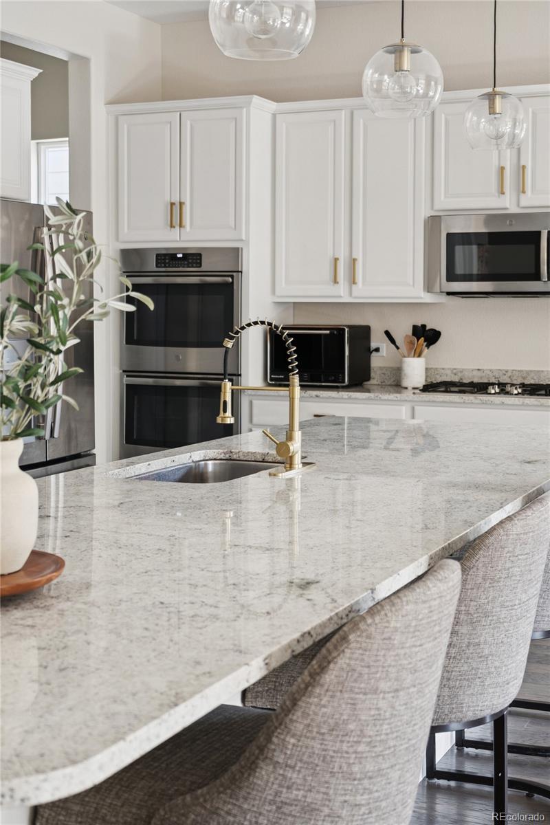 MLS Image #13 for 10929  endeavor drive,parker, Colorado