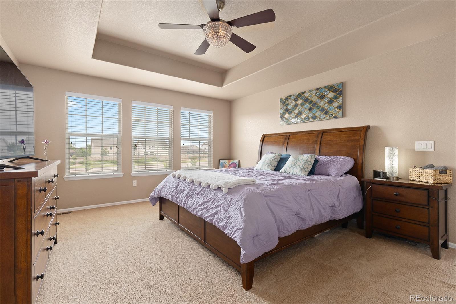 MLS Image #30 for 2510 e 160th place,thornton, Colorado