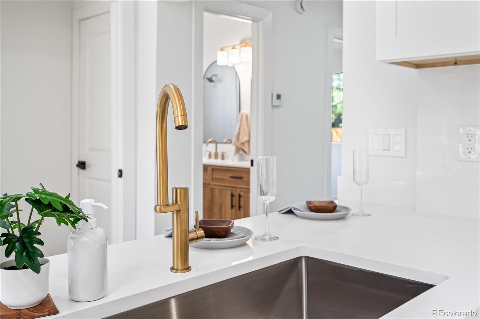 MLS Image #19 for 261  knox court,denver, Colorado