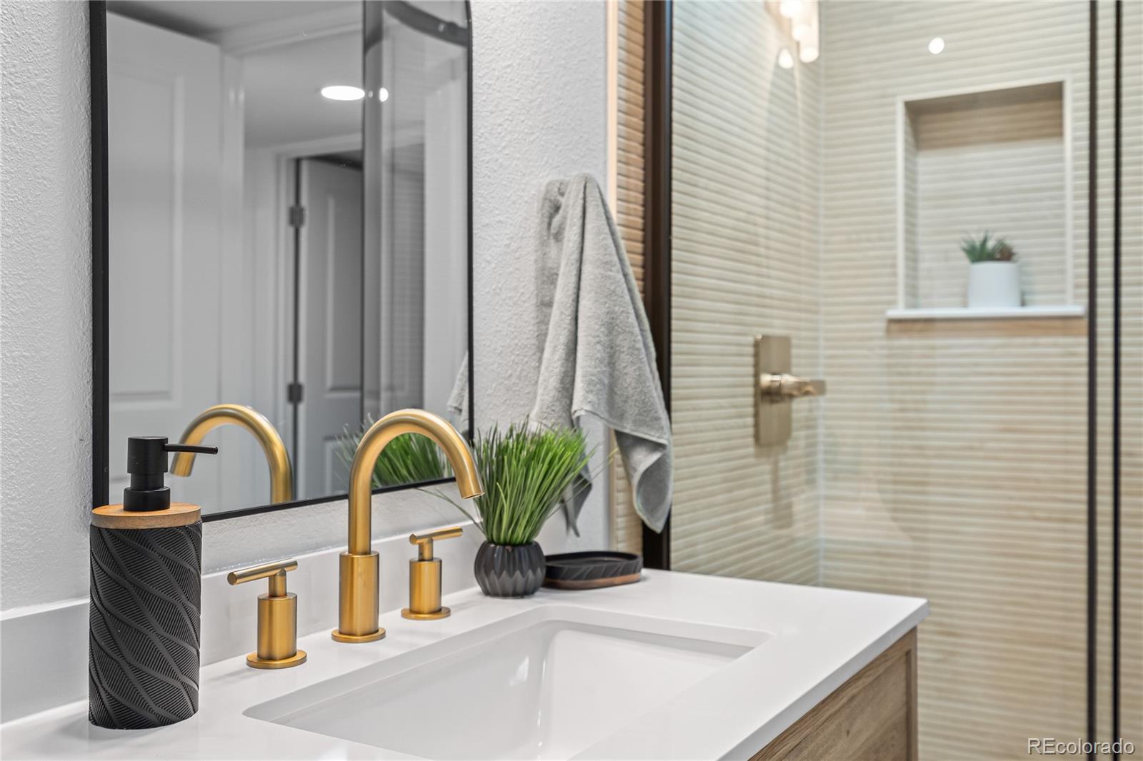 MLS Image #23 for 261  knox court,denver, Colorado