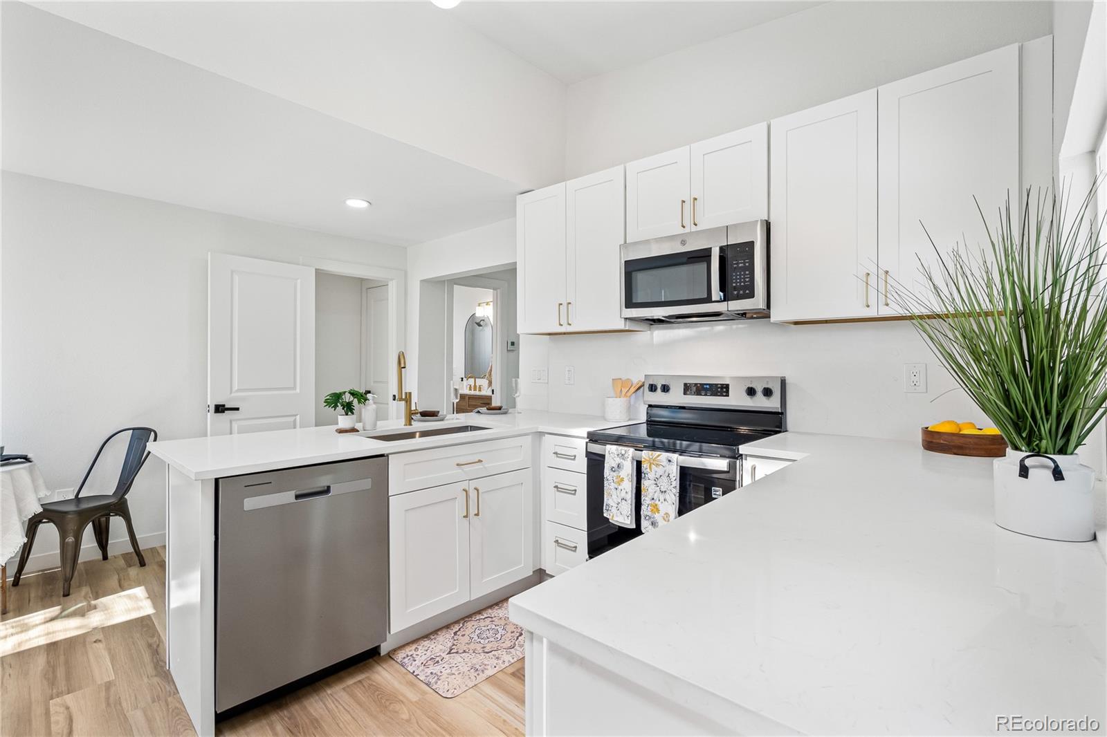 MLS Image #6 for 261  knox court,denver, Colorado