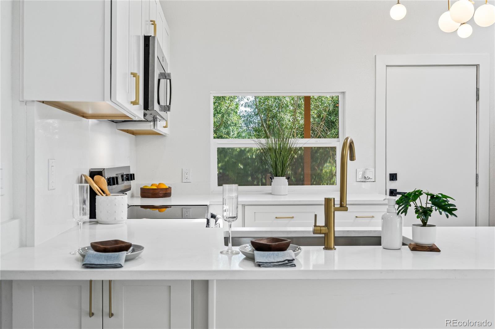 MLS Image #7 for 261  knox court,denver, Colorado