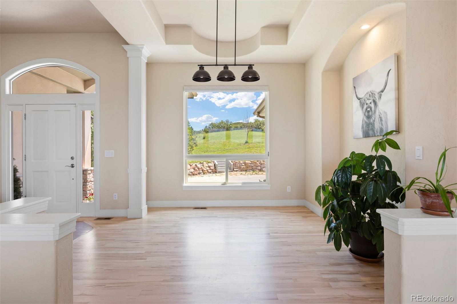 MLS Image #11 for 4002  bell mountain drive,castle rock, Colorado