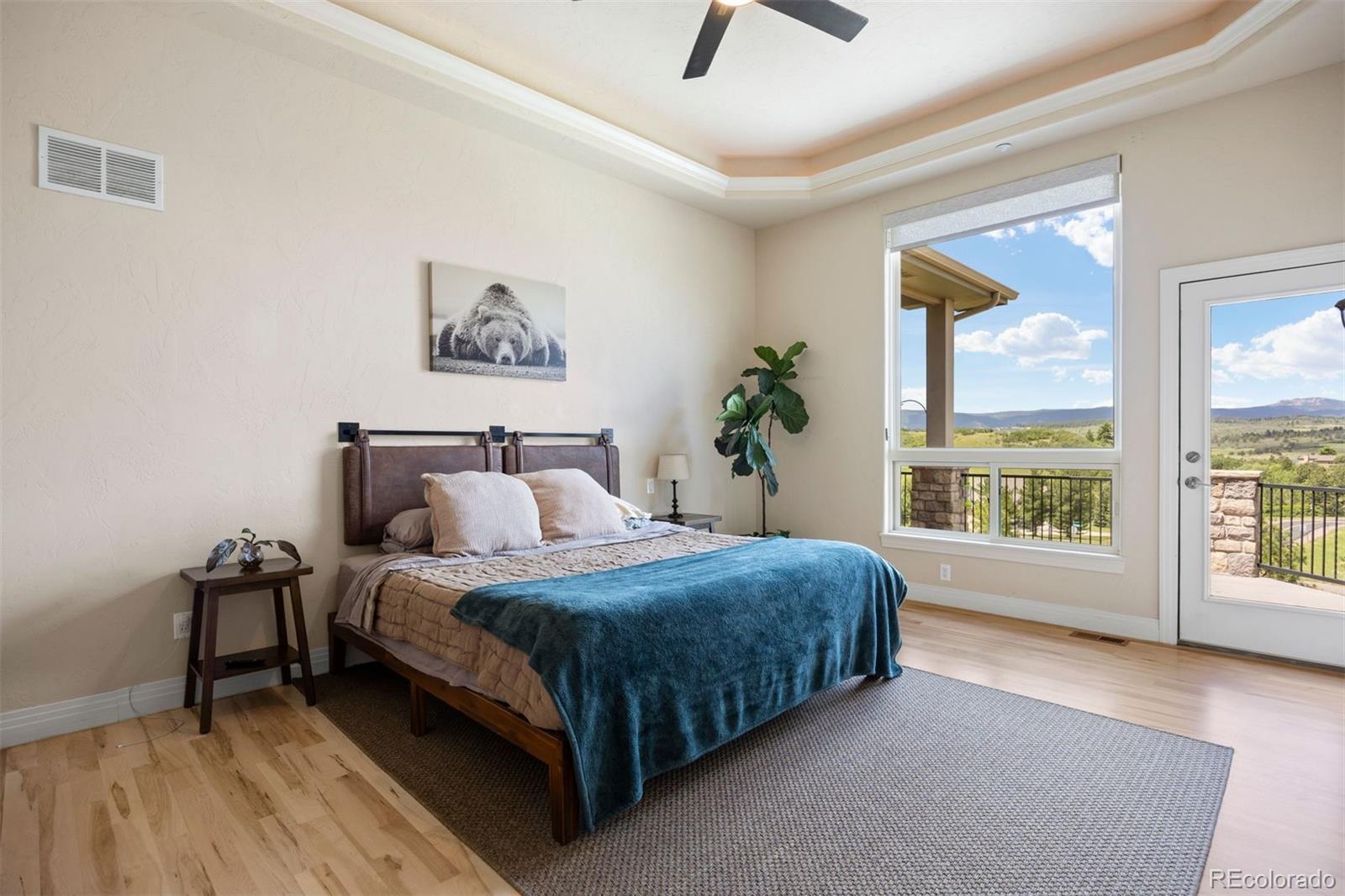MLS Image #13 for 4002  bell mountain drive,castle rock, Colorado