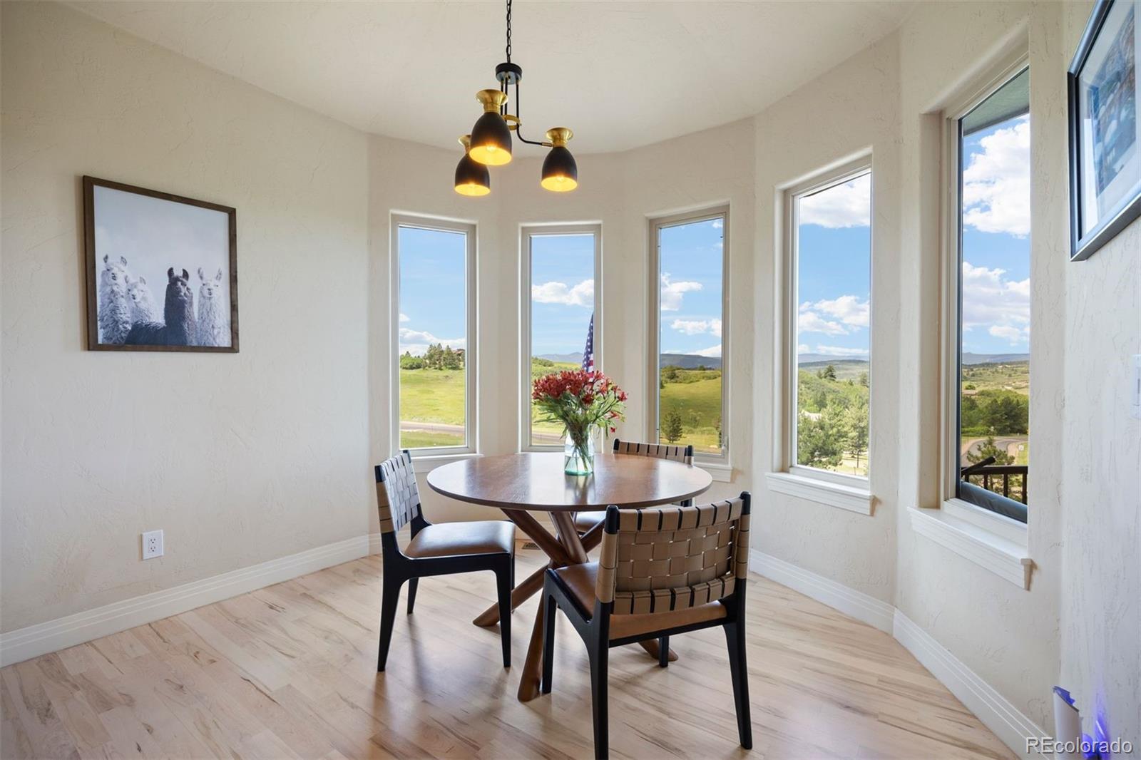 MLS Image #9 for 4002  bell mountain drive,castle rock, Colorado
