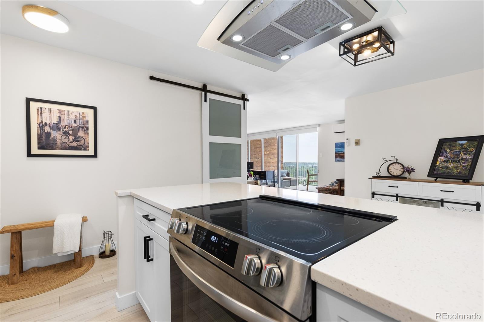 MLS Image #10 for 955  eudora street,denver, Colorado