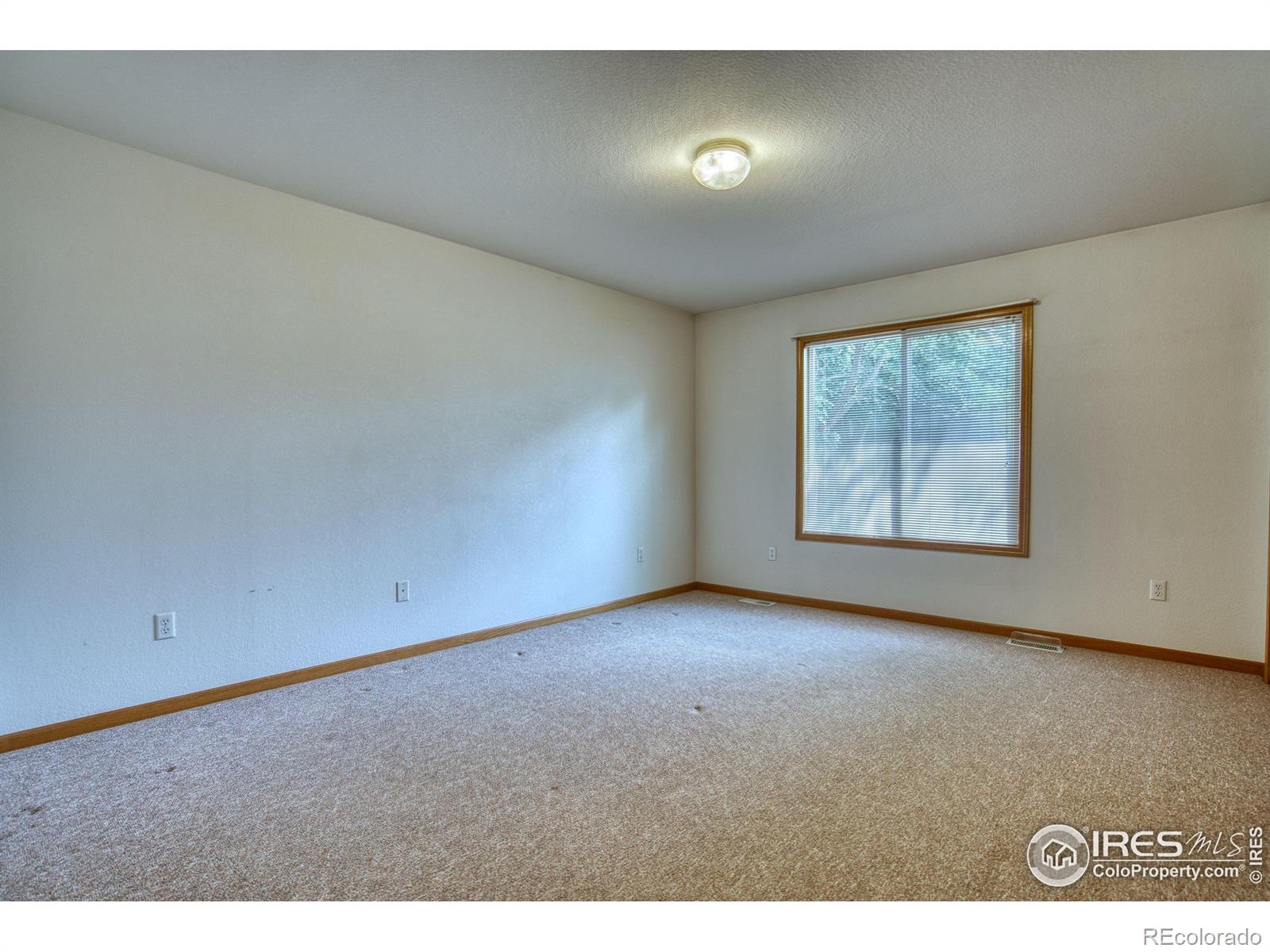 MLS Image #11 for 1816  cheyenne avenue,loveland, Colorado