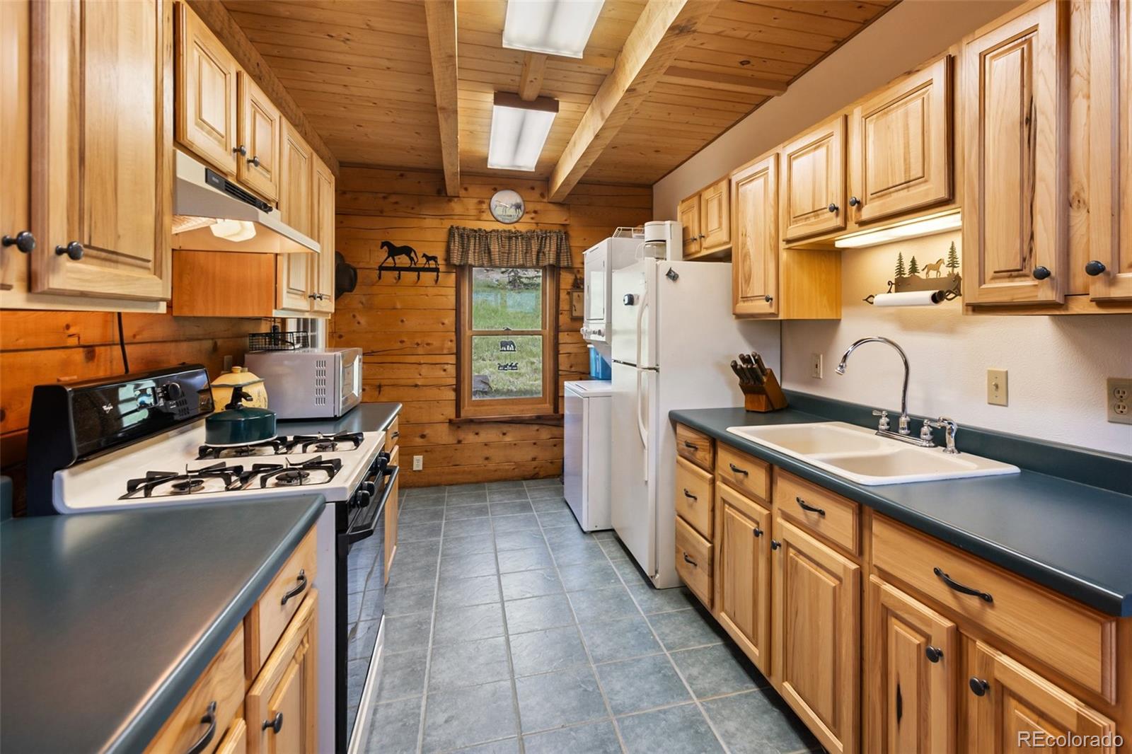 MLS Image #11 for 133  vail drive,florissant, Colorado