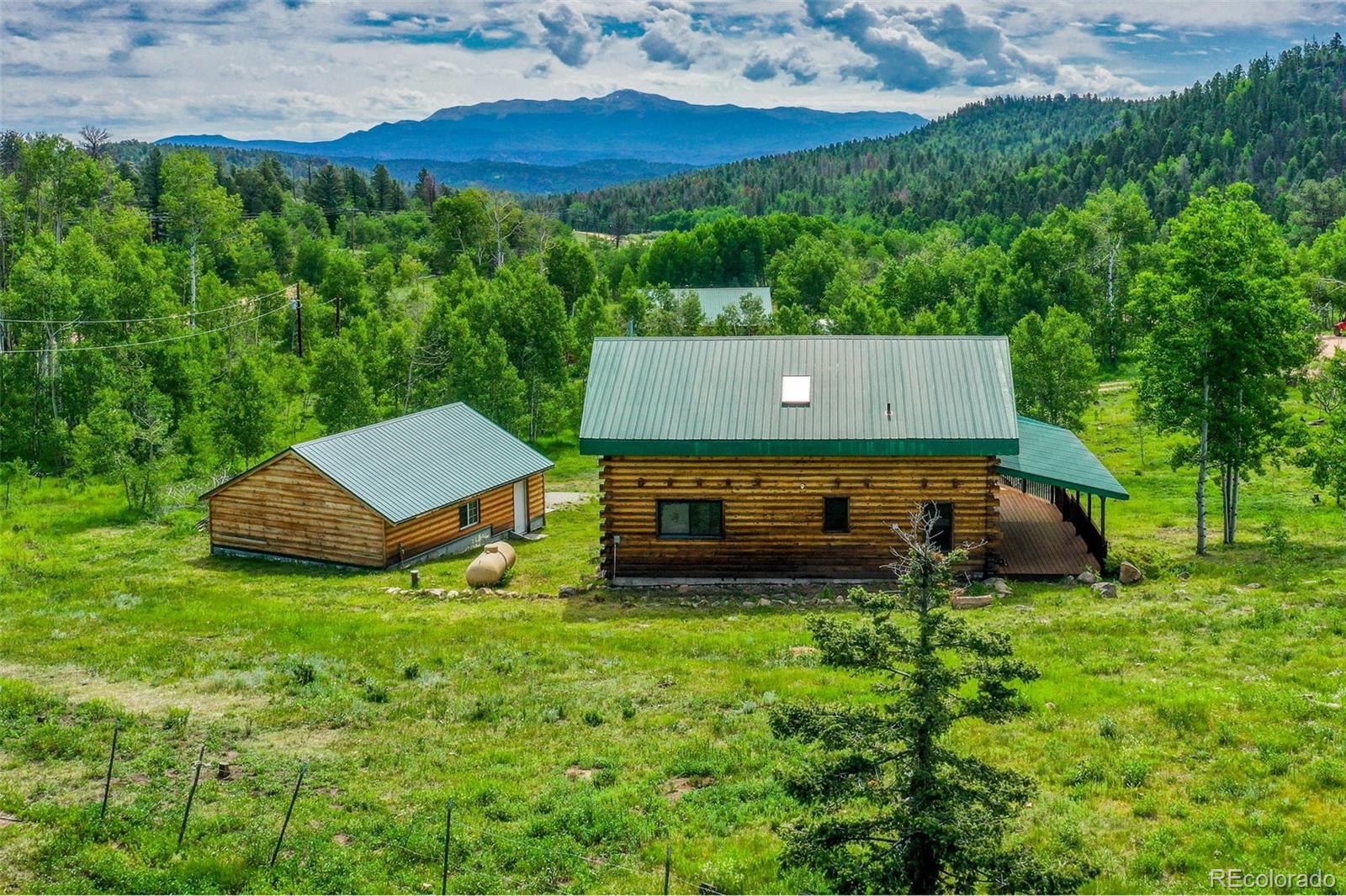 MLS Image #3 for 133  vail drive,florissant, Colorado