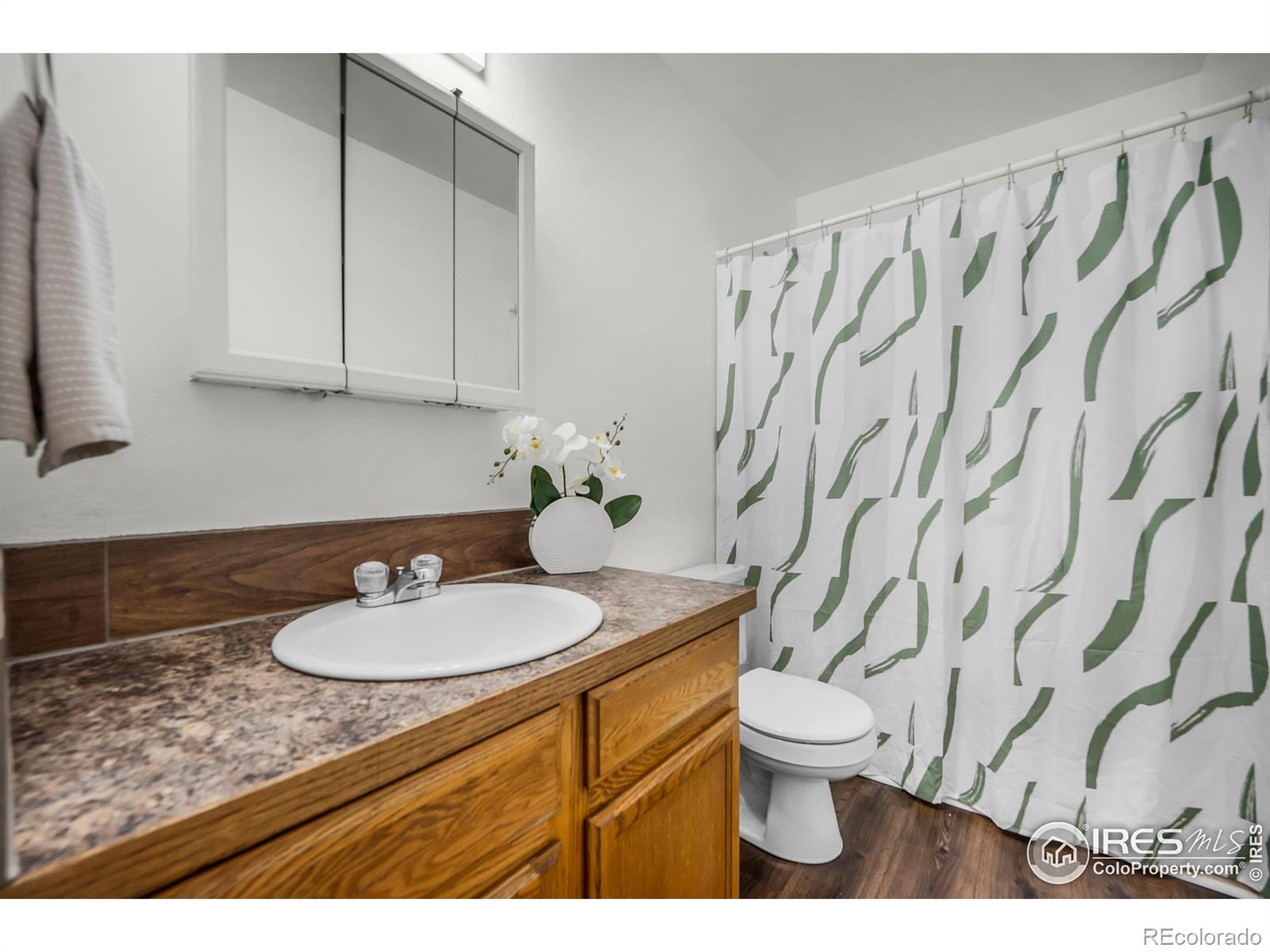 MLS Image #12 for 234 e 19th street,greeley, Colorado